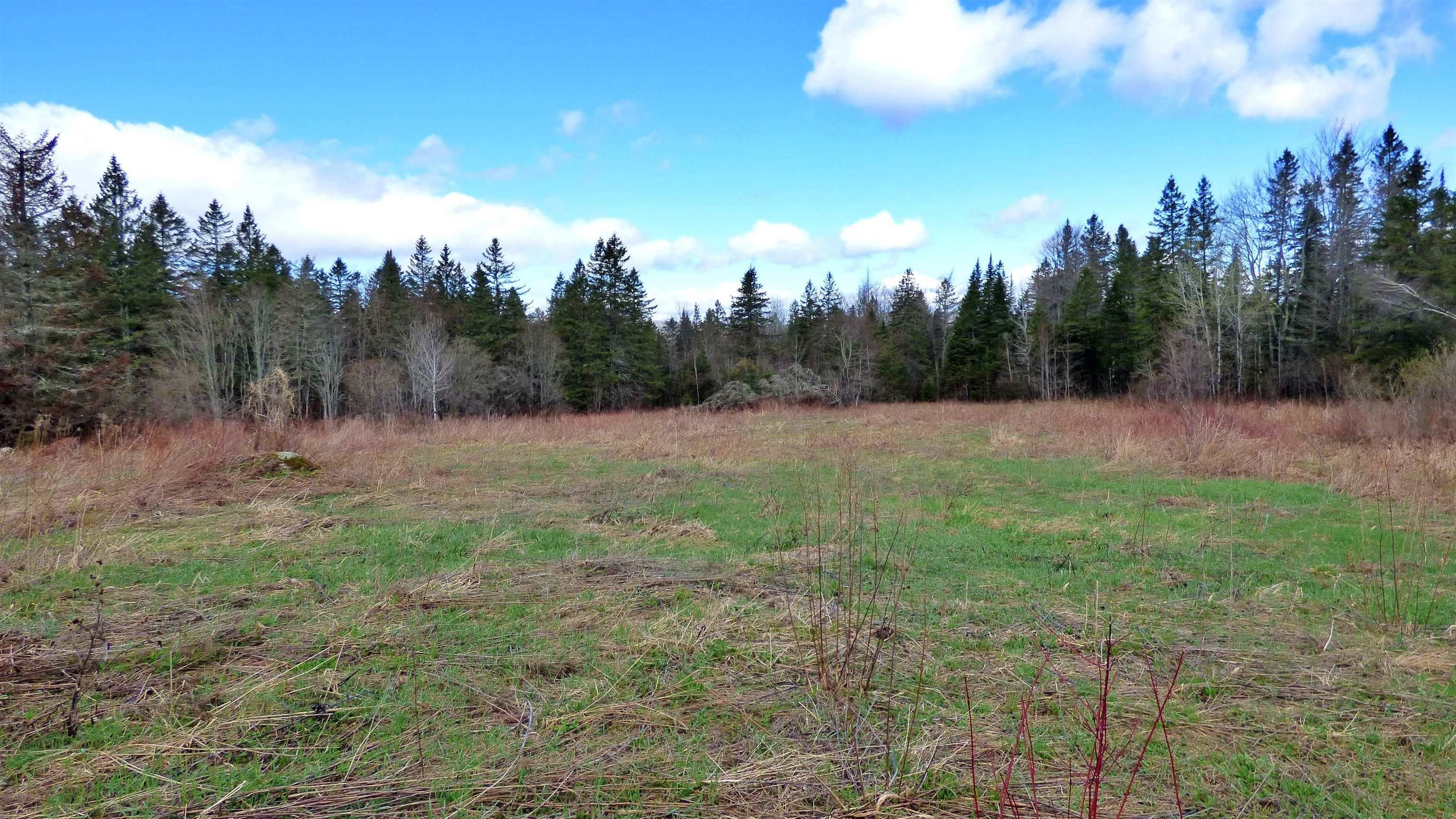 Wheelock, Vermont, 05851, United States, ,Land,For Sale,2017669