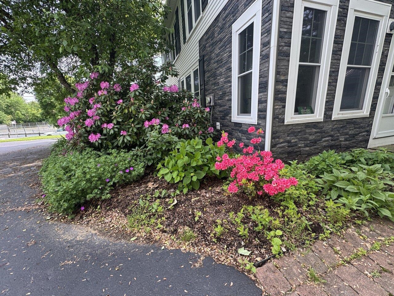 Essex Junction, Vermont, 05452, United States, 4 Bedrooms Bedrooms, ,3 BathroomsBathrooms,Residential,For Sale,1847004