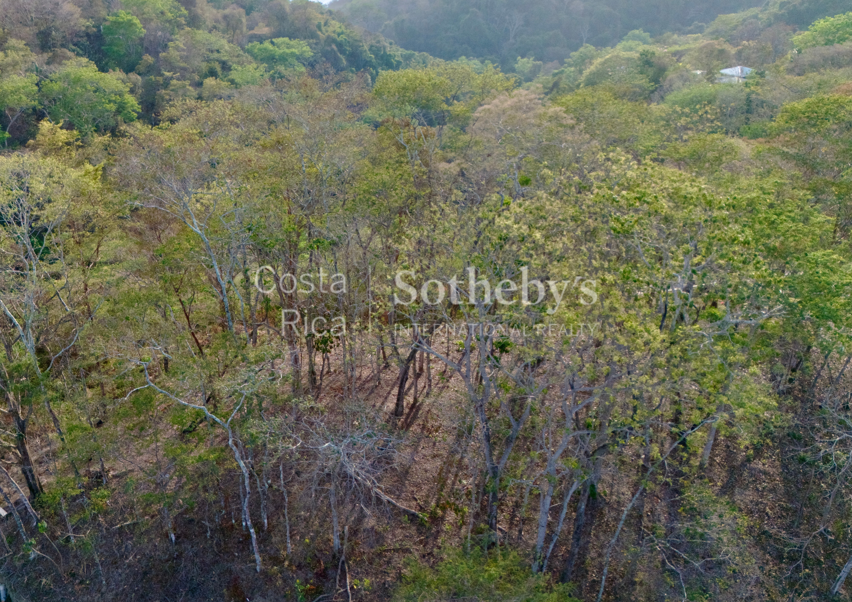  Expansive Ocean View Lot in the Hills of Hermosa - 物件實景