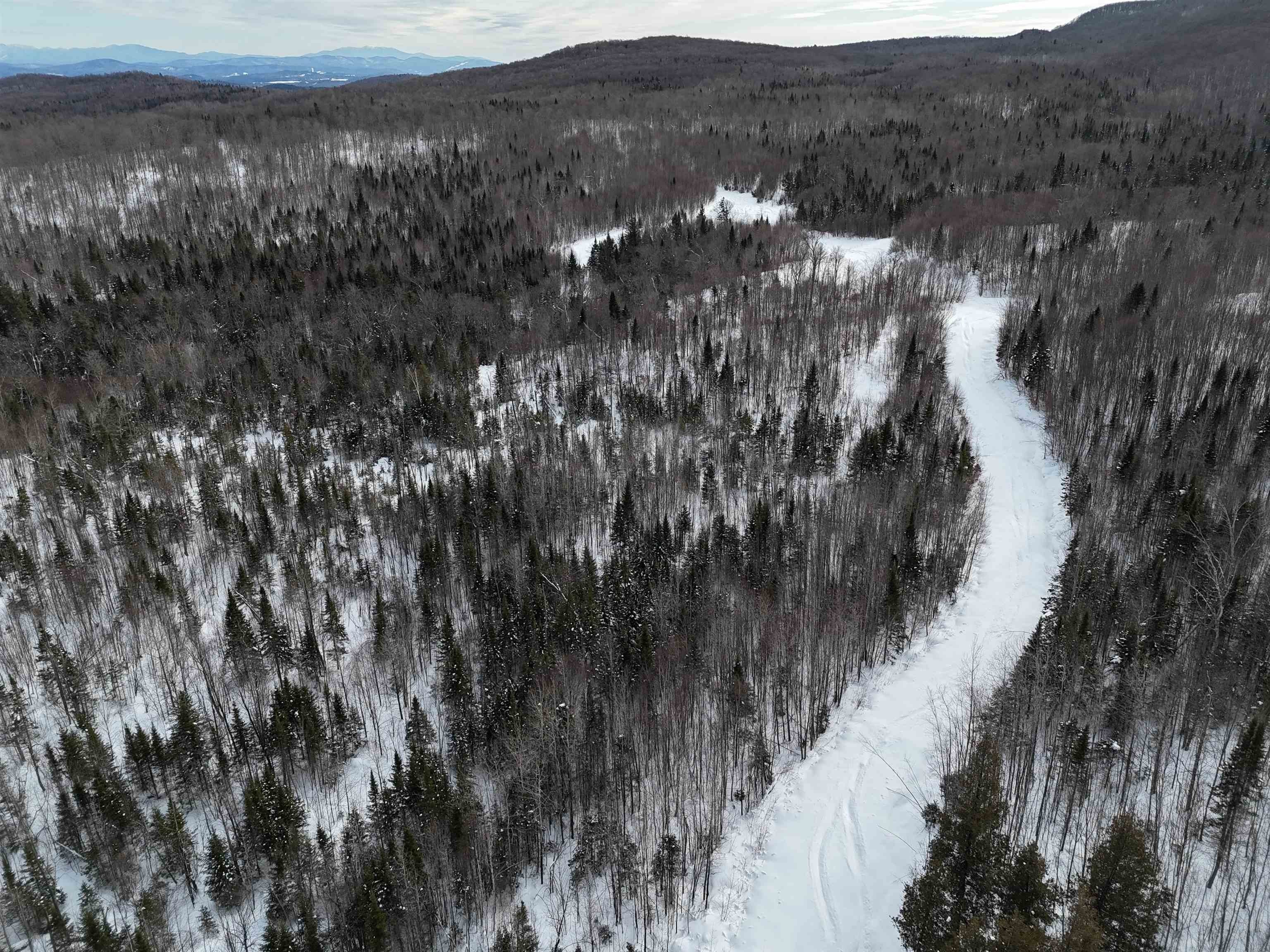 Wheelock, Vermont, 05851, United States, ,Land,For Sale,2017707
