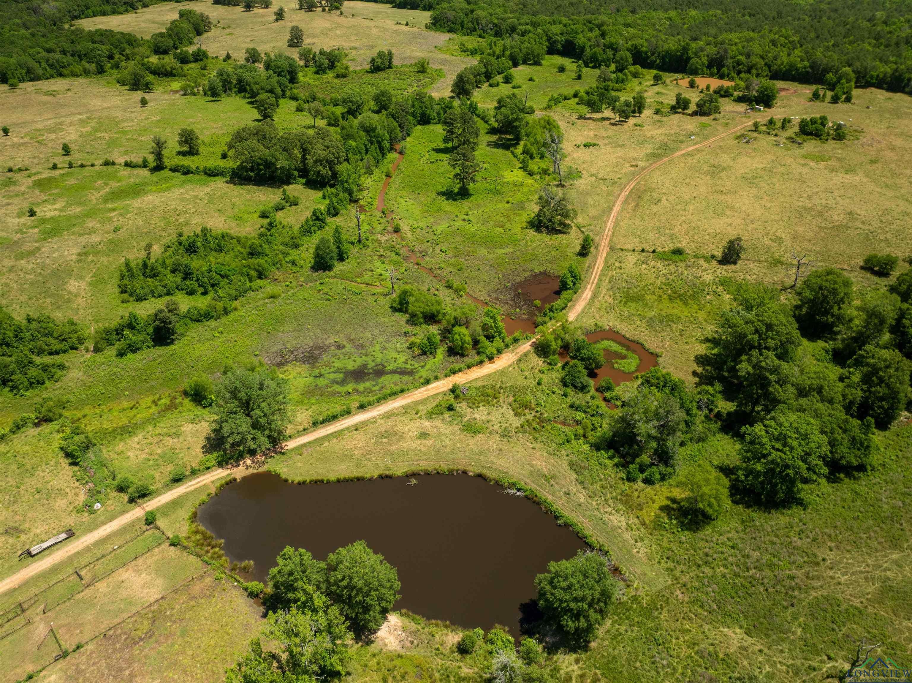 7557 FM 248, Lodi, Texas, 75564, United States, ,Residential,For Sale,7557 FM 248,1614560