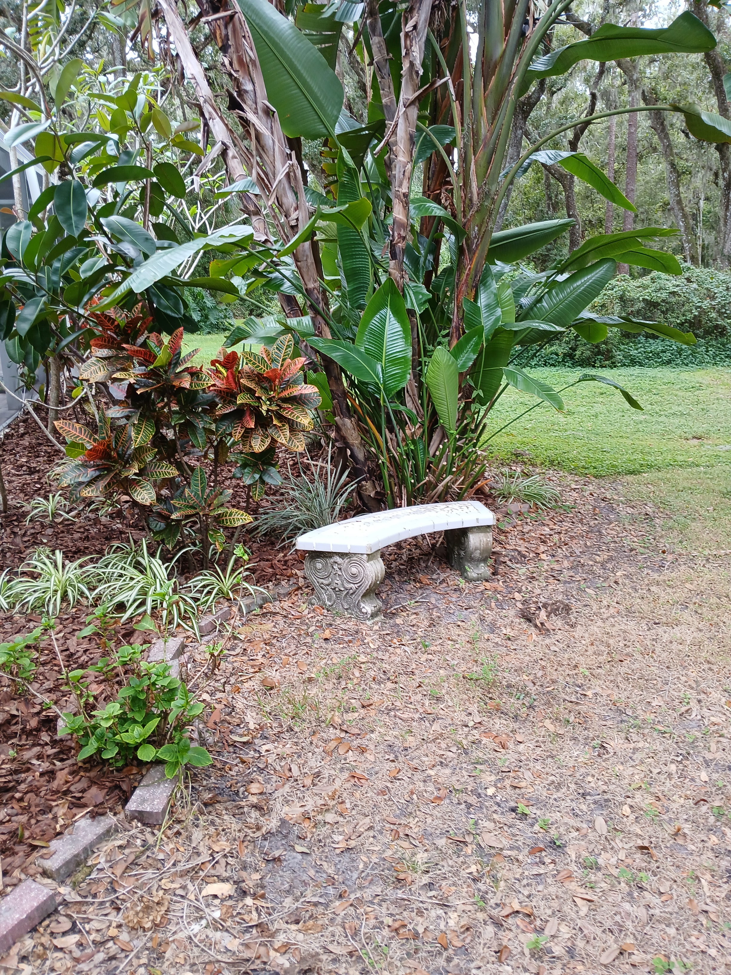 Dover, Florida, 33527, United States, 4 Bedrooms Bedrooms, ,5 BathroomsBathrooms,Residential,For Sale,1982363