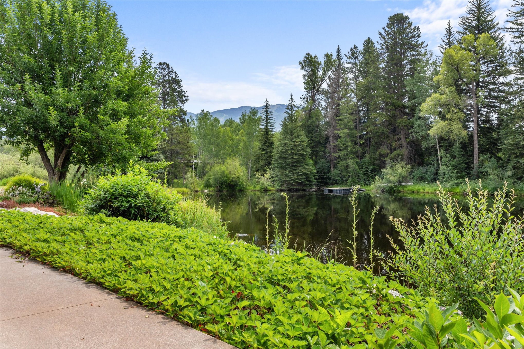  1184 Anglers Drive, Steamboat Springs, CO 80487 - 物件實景