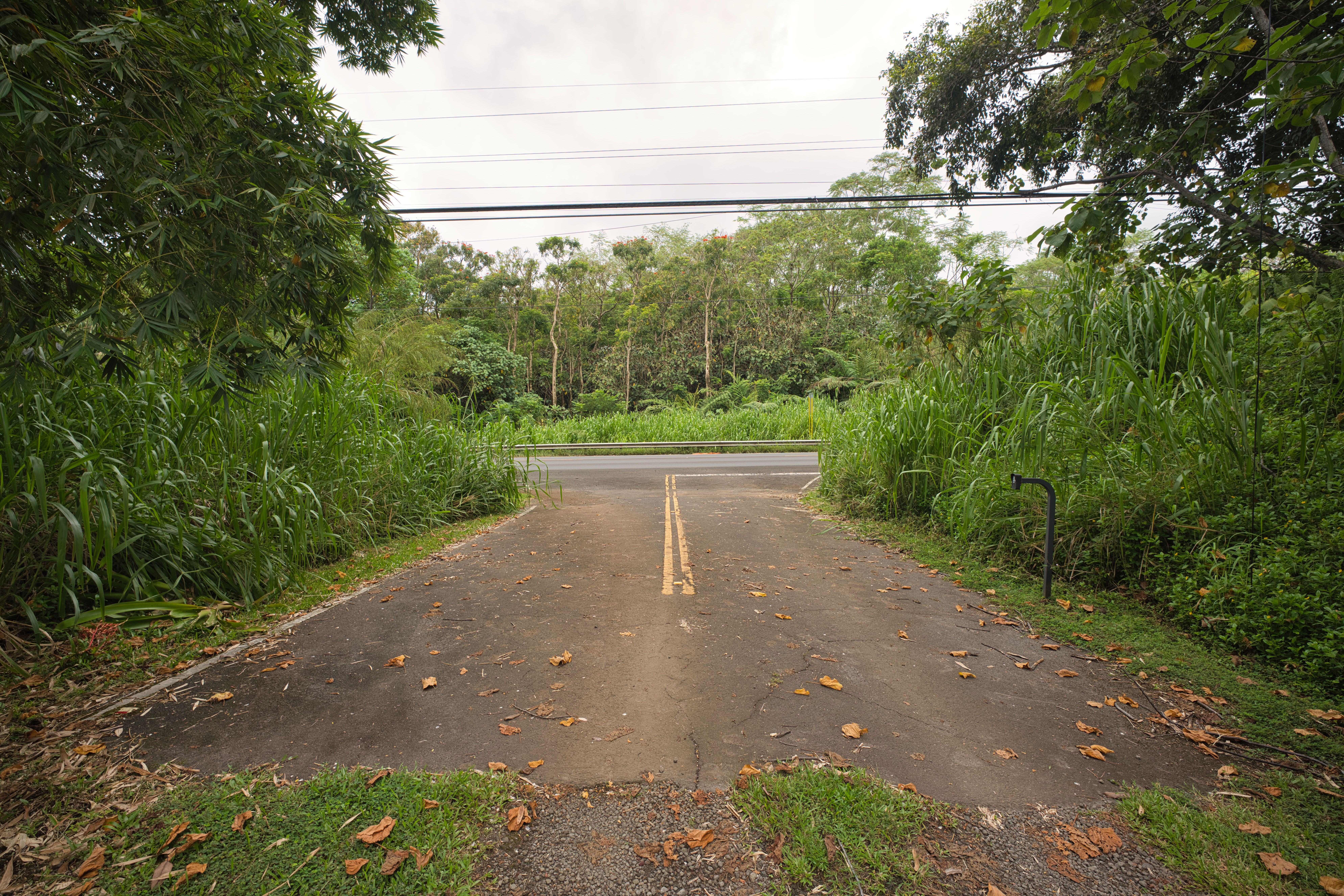  27-2430 Hawaii Belt Rd, Papaikou, HI, 96781 - 物件實景