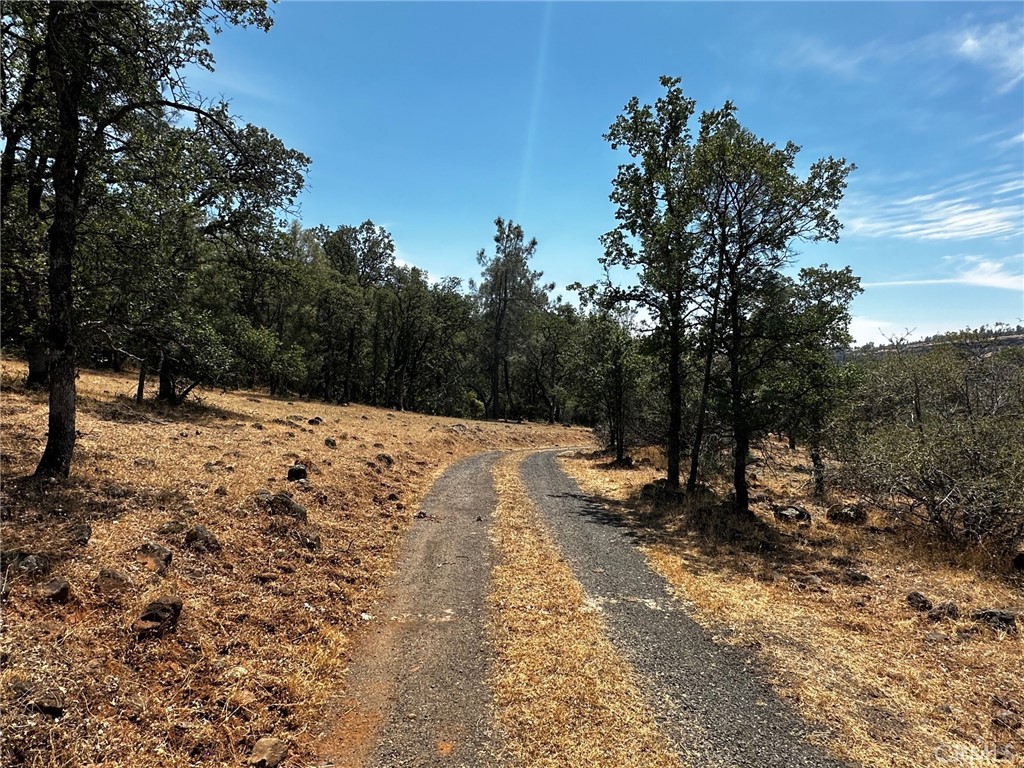 Chico, California, 95928, United States, ,Land,For Sale,1974273