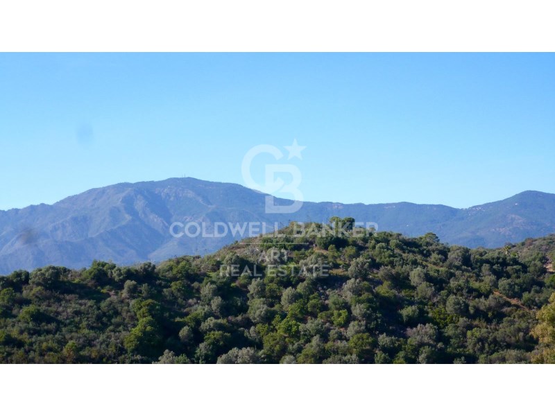Estepona, Andalusia, ES, ,Residential,For Sale,1779639
