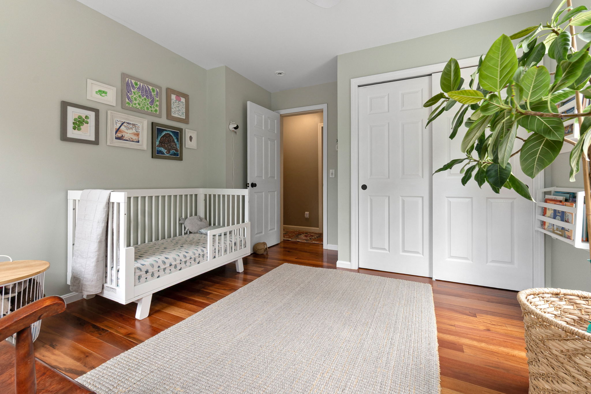  56 Jewett St, Georgetown, MA, 01833 - 物件實景