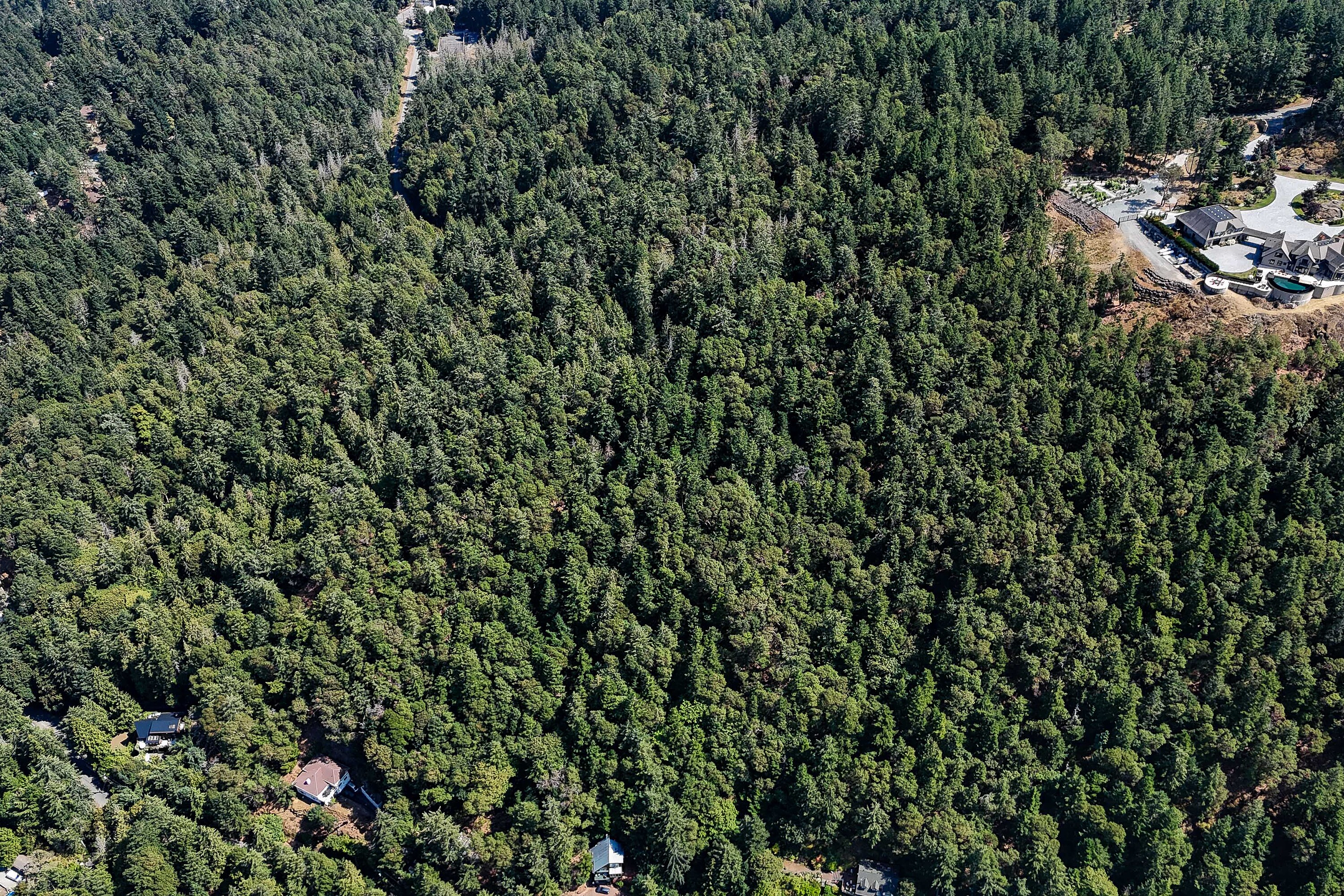  Scenic Peninsula Acreage - 物件實景
