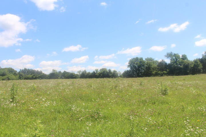 Polk, Missouri, 65727, United States, ,Land,For Sale,1980569