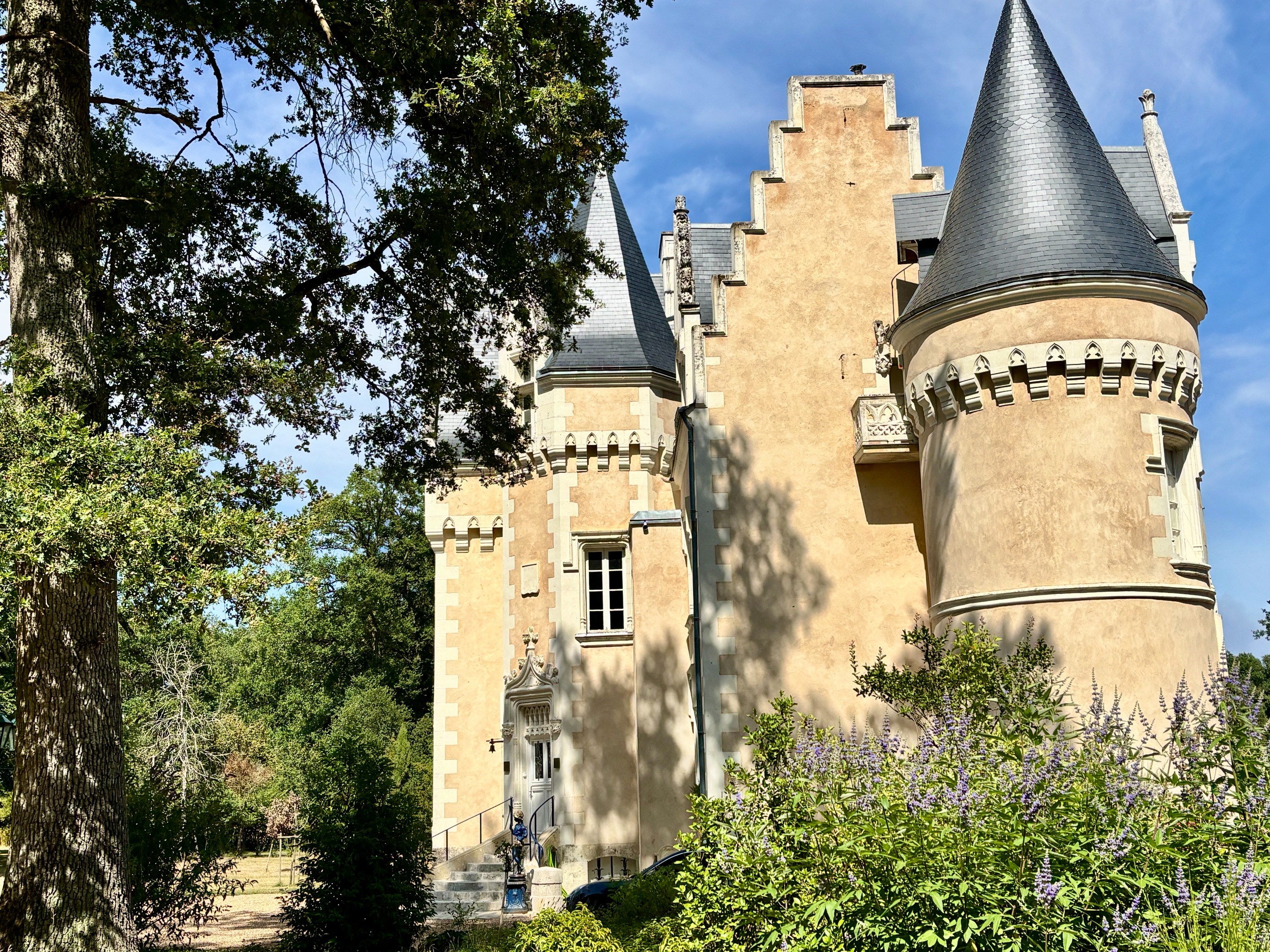  A charming Castle located at 15 minutes from Loches - 物件實景