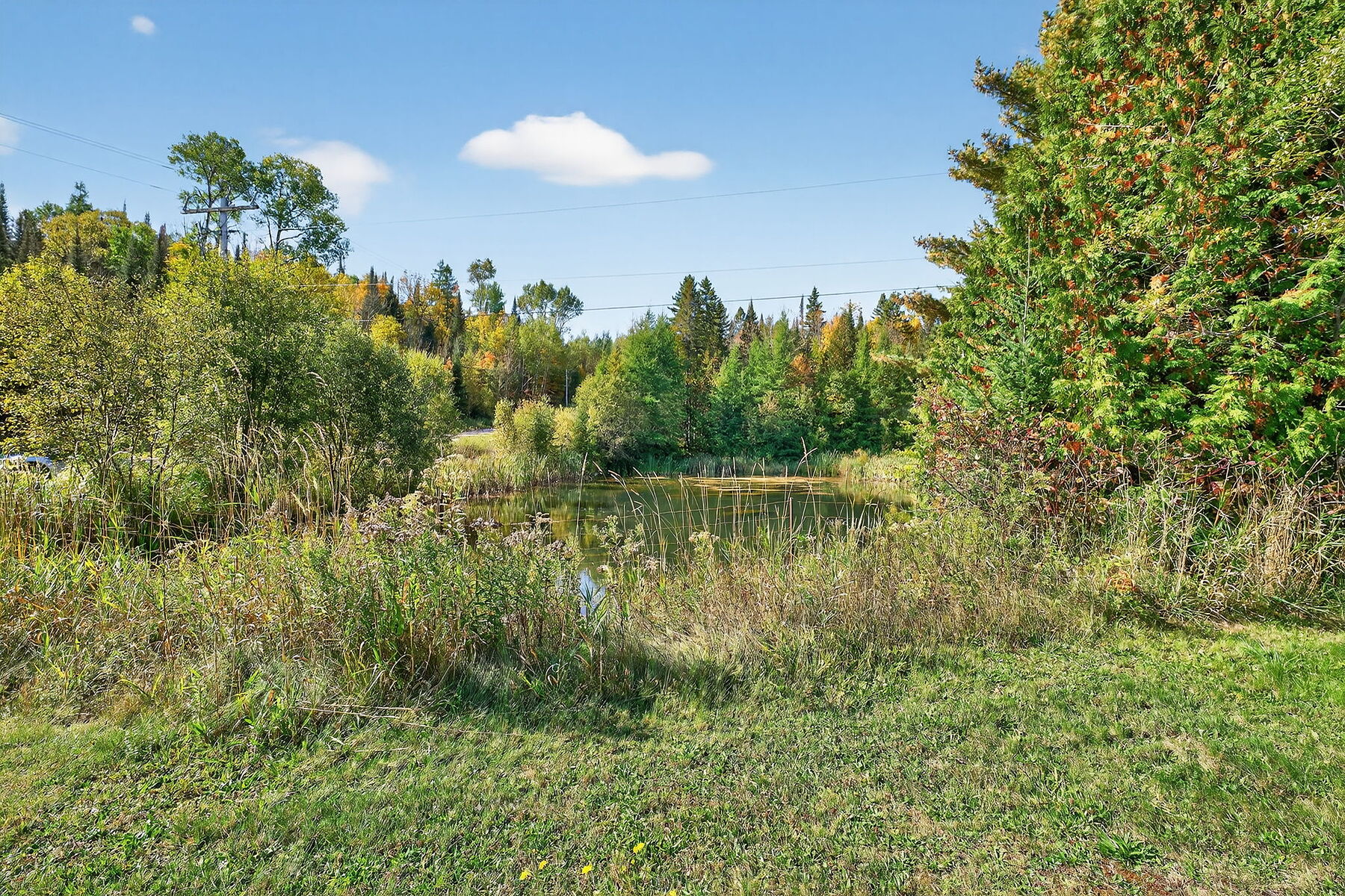  Peaceful Country Acreage - 物件實景