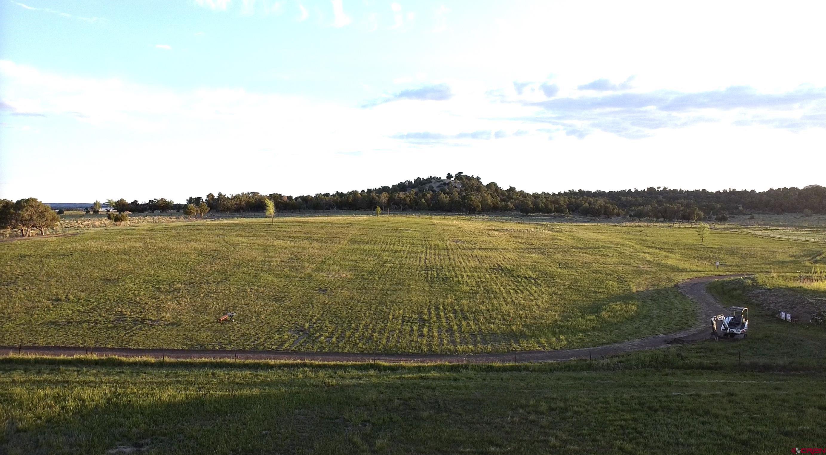 Mancos, Colorado, 81328, United States, 2 Bedrooms Bedrooms, ,1 BathroomBathrooms,Residential,For Sale,1981280