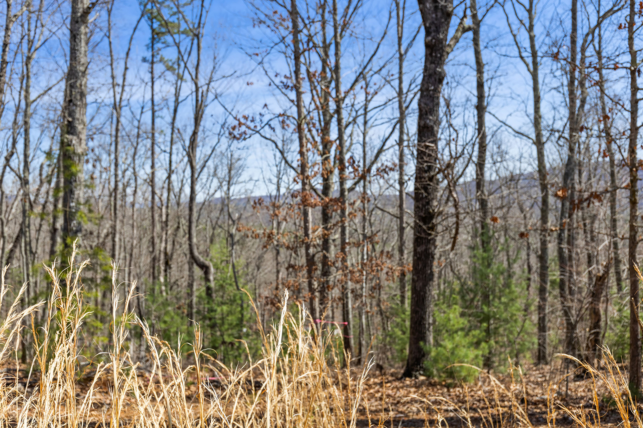  Stunning 1.56 Acre Lot in Hyde Creek - 物件實景