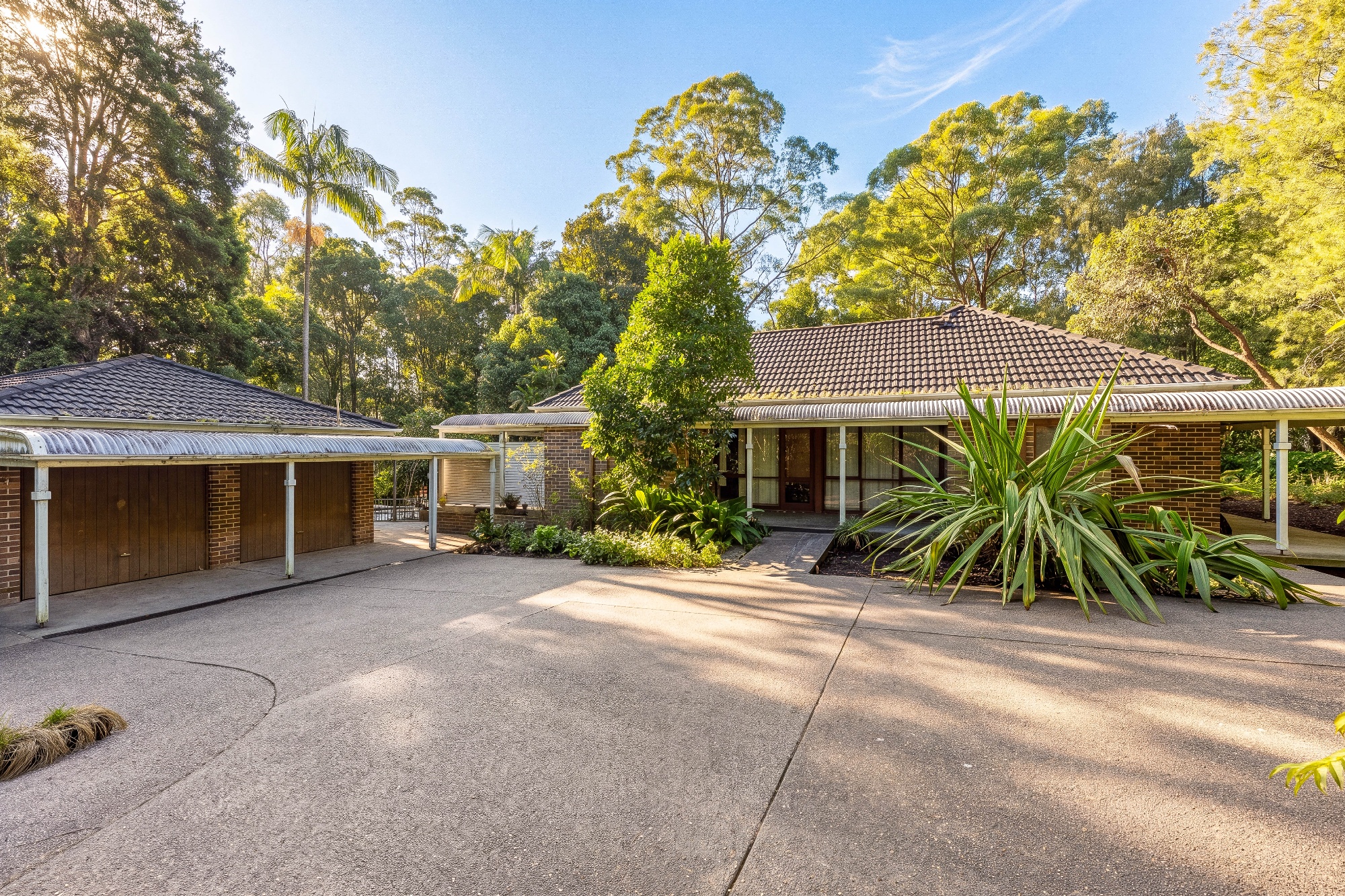  19 Myoora Road, Terrey Hills - 物件實景