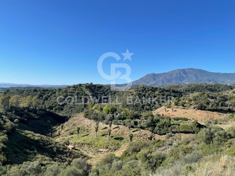 Estepona, Andalusia, ES, ,Residential,For Sale,1779639