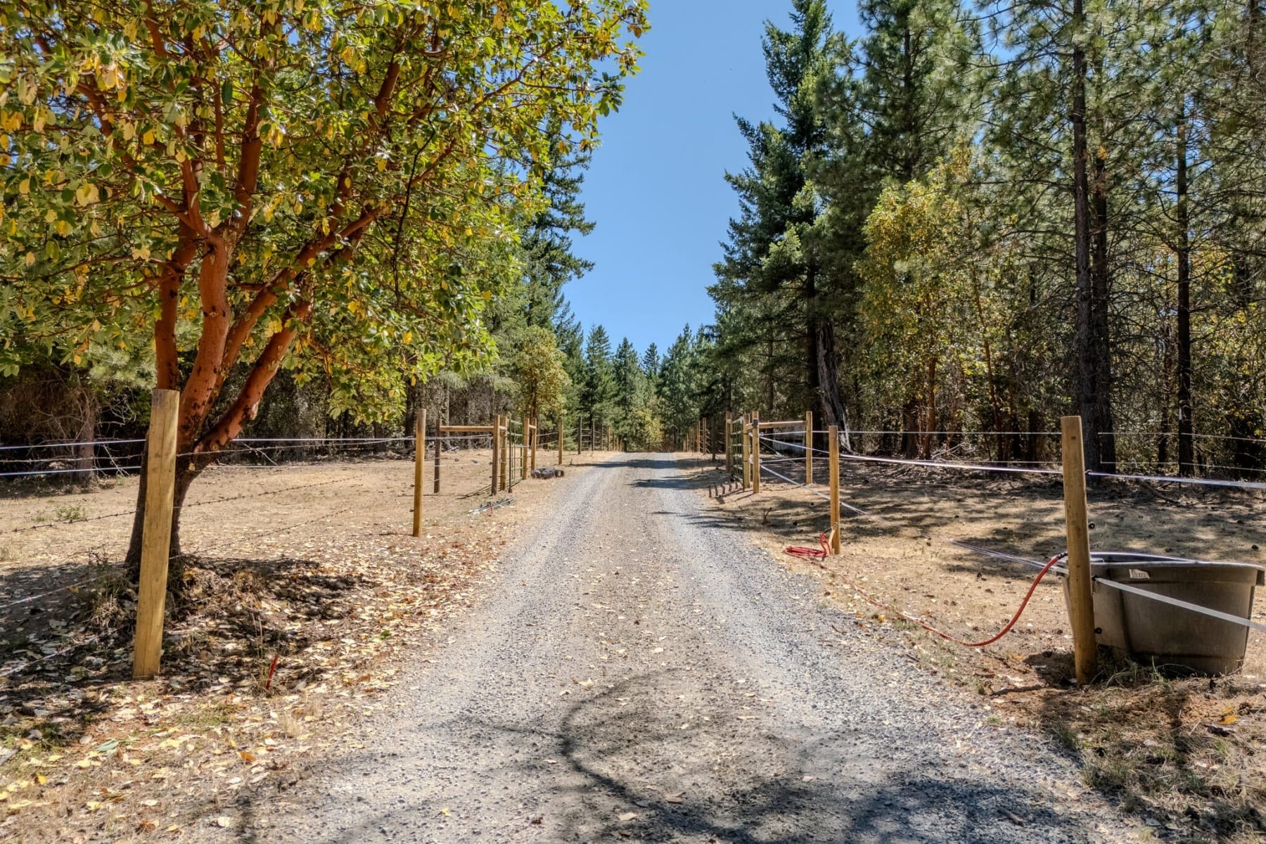  7036 Griffin Lane Jacksonville, OR 97530 - 物件實景