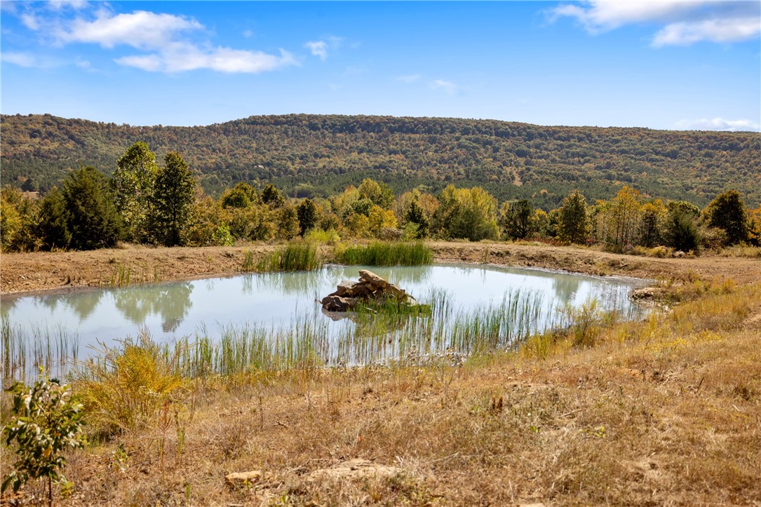 Harrison, Arkansas, 72601, United States, ,Land,For Sale,1903460