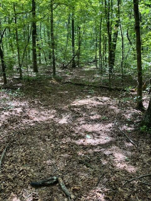 Graysville, Tennessee, 37338, United States, ,Residential,For Sale,1943907