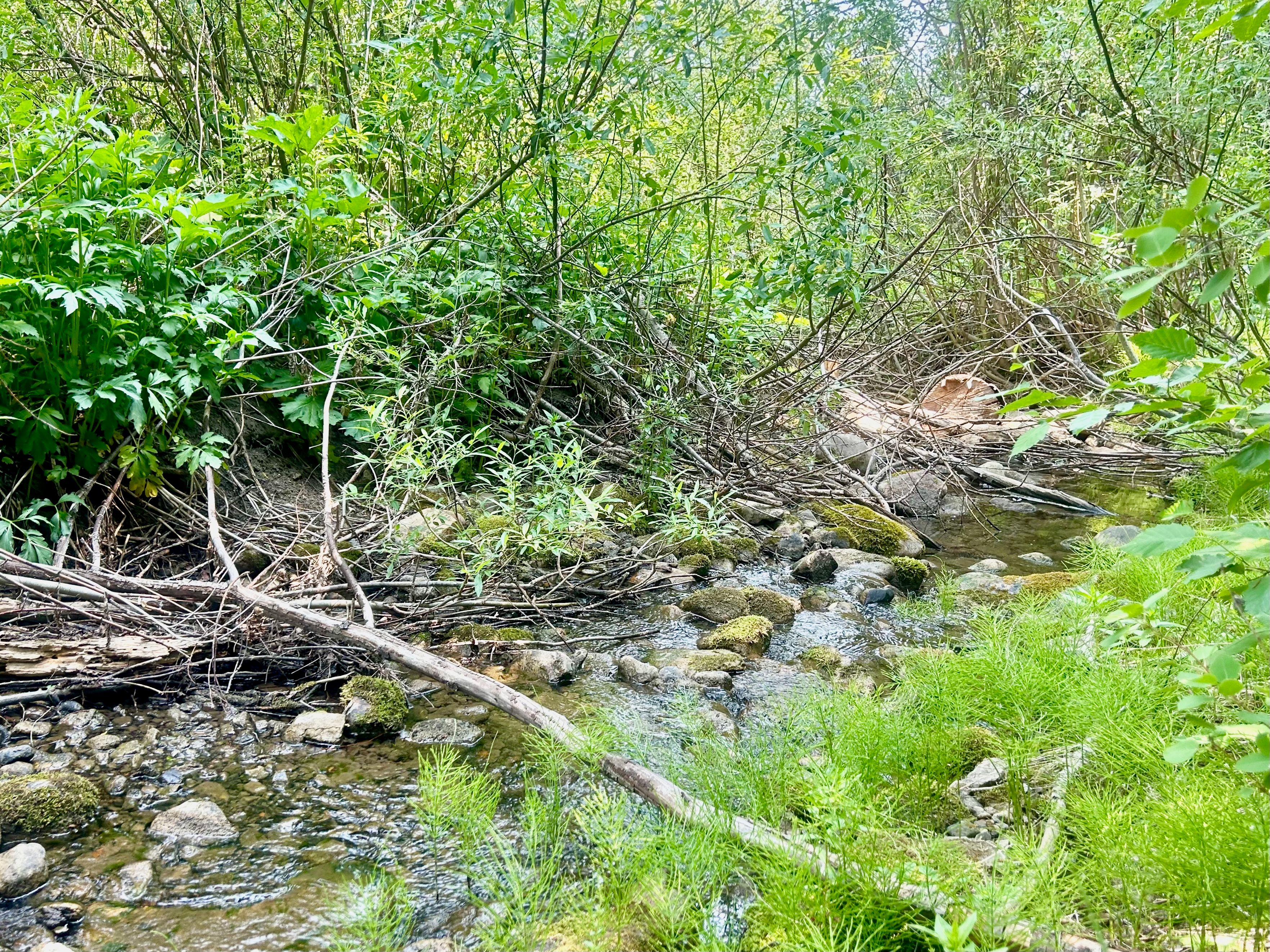  Lot 38 Colt Trail, Oak Creek, CO, 80467 - 物件實景