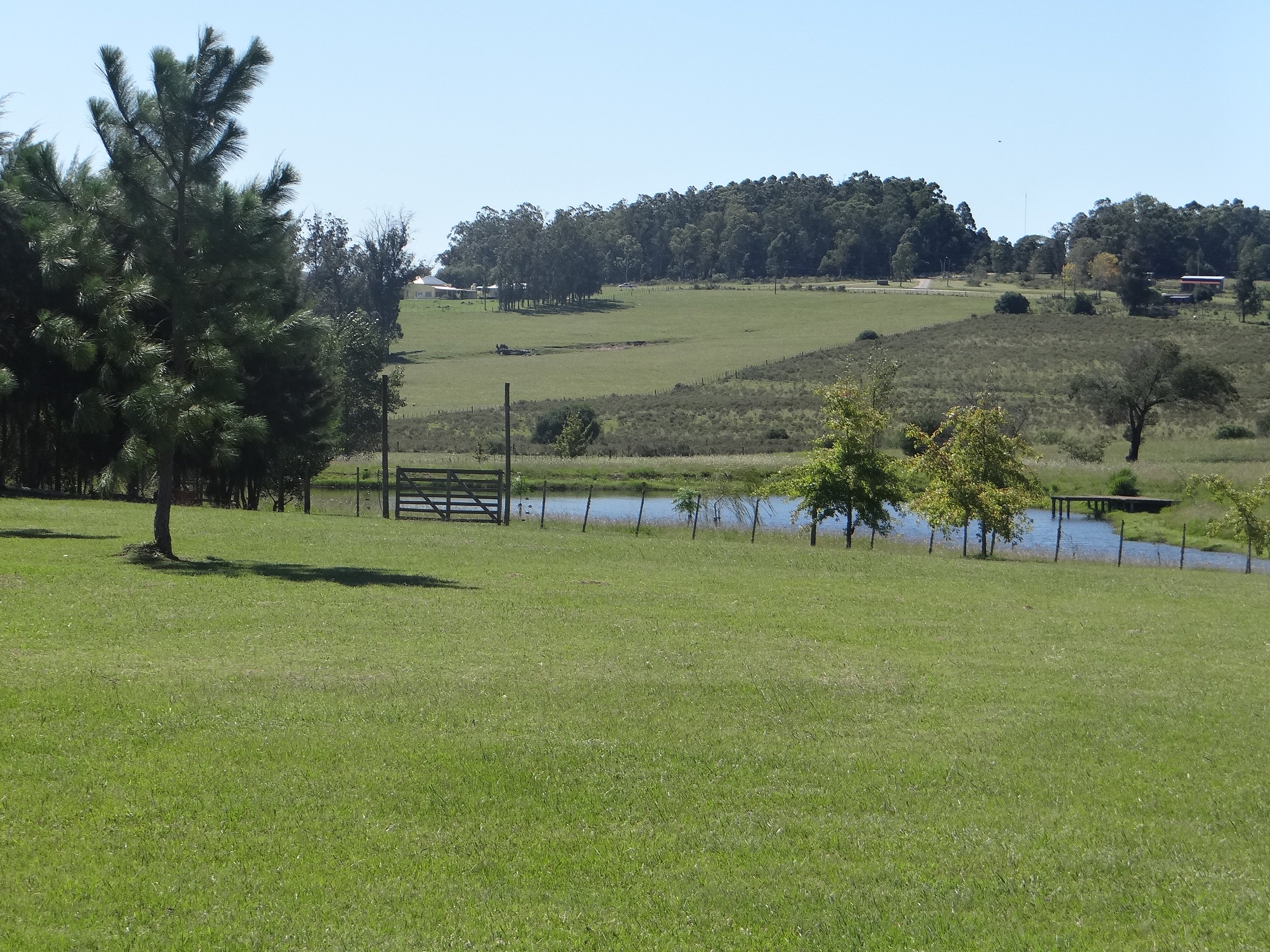  Farm in Pueblo Edén - 物件實景