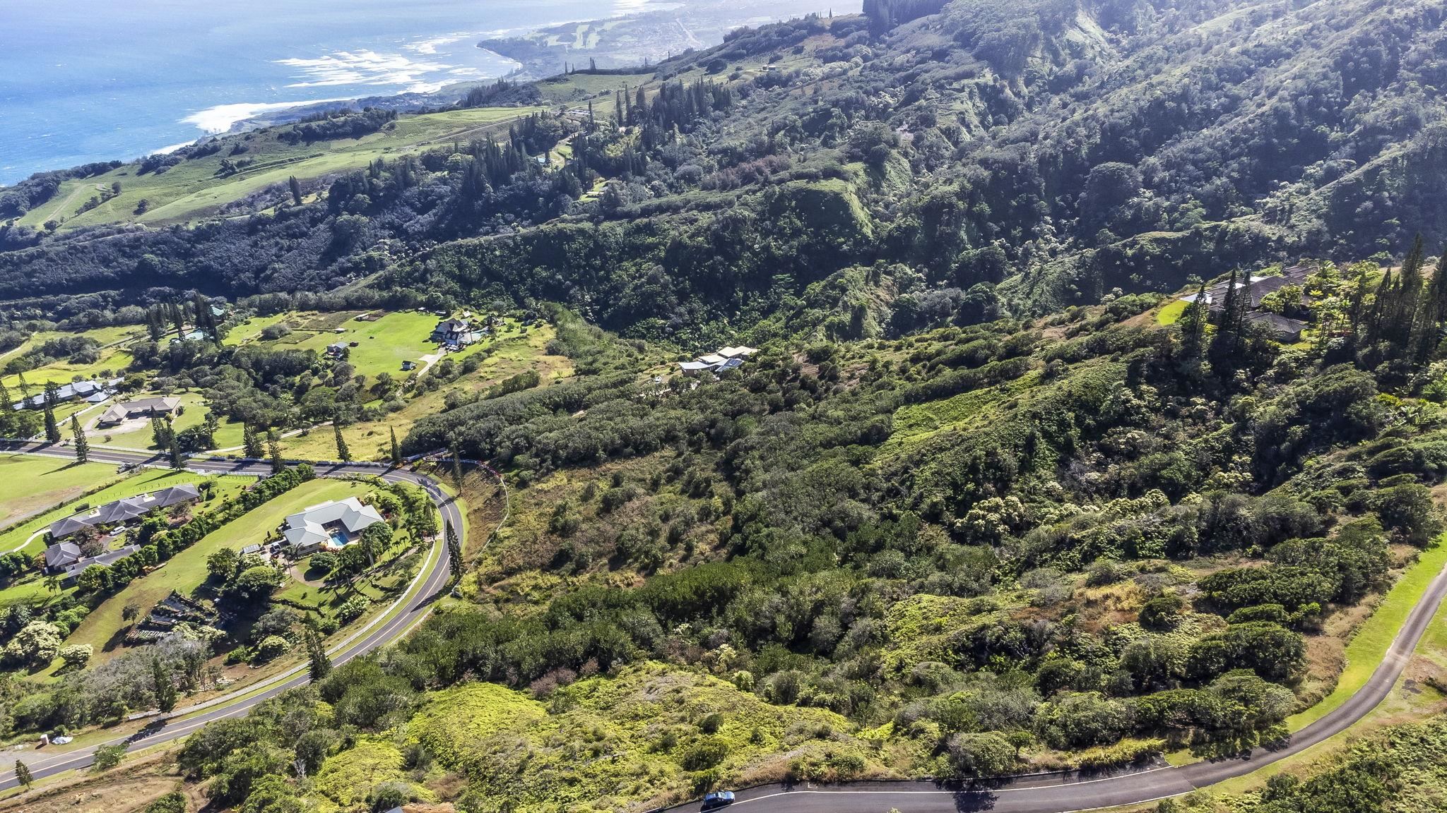 63 Lahaole Pl, Wailuku, Hawaii, 96793, United States, ,Land,For Sale,63 Lahaole Pl,1676772