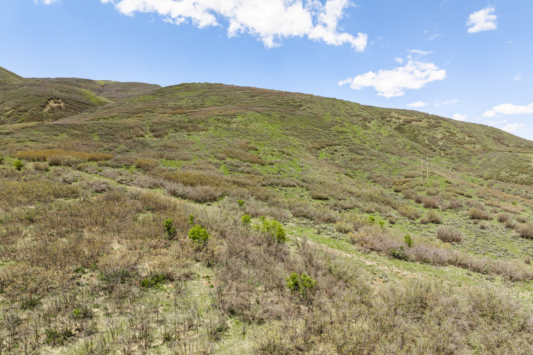  34 Acre Estate Lot In The Highlands - 物件實景