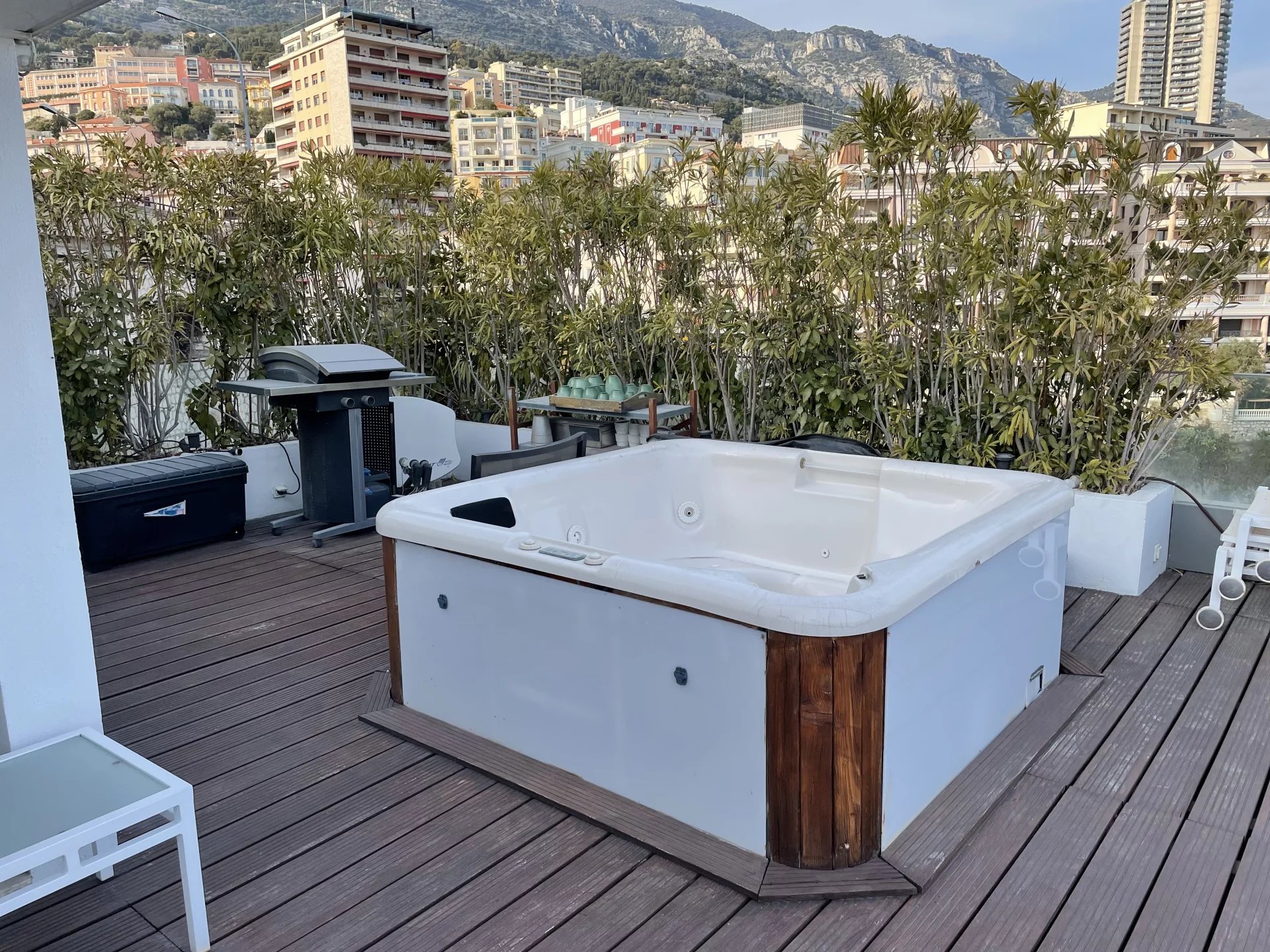 Monaco, 98000, MC, 4 Bedrooms Bedrooms, ,3 BathroomsBathrooms,Residential,For Sale,1620396