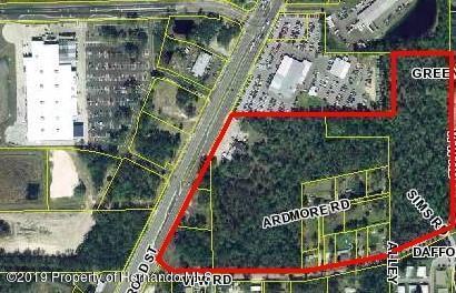 Brooksville, Florida, 34601, United States, ,Land,For Sale,1976976