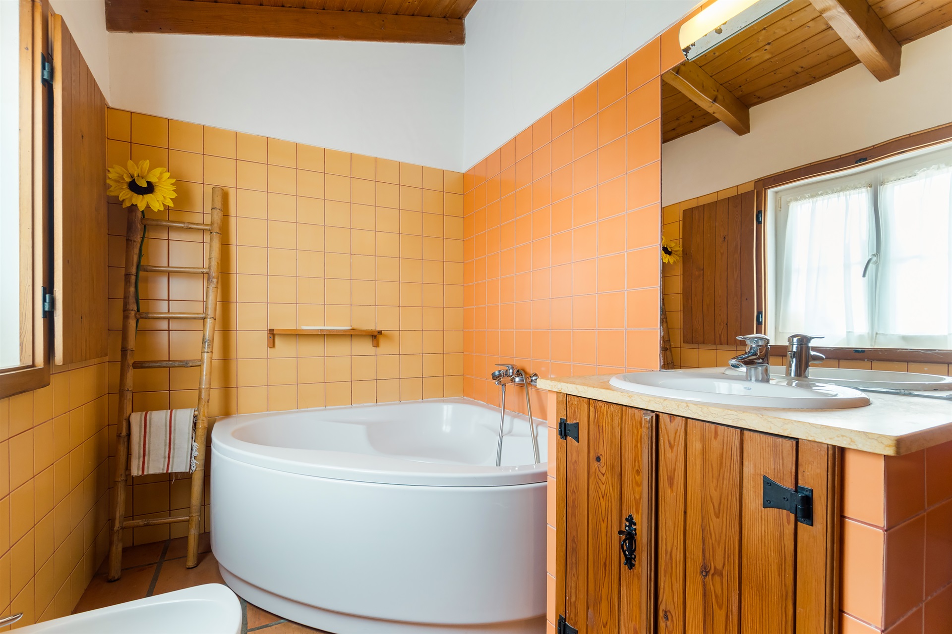  Farm, 6 bedrooms, for Sale - 物件實景