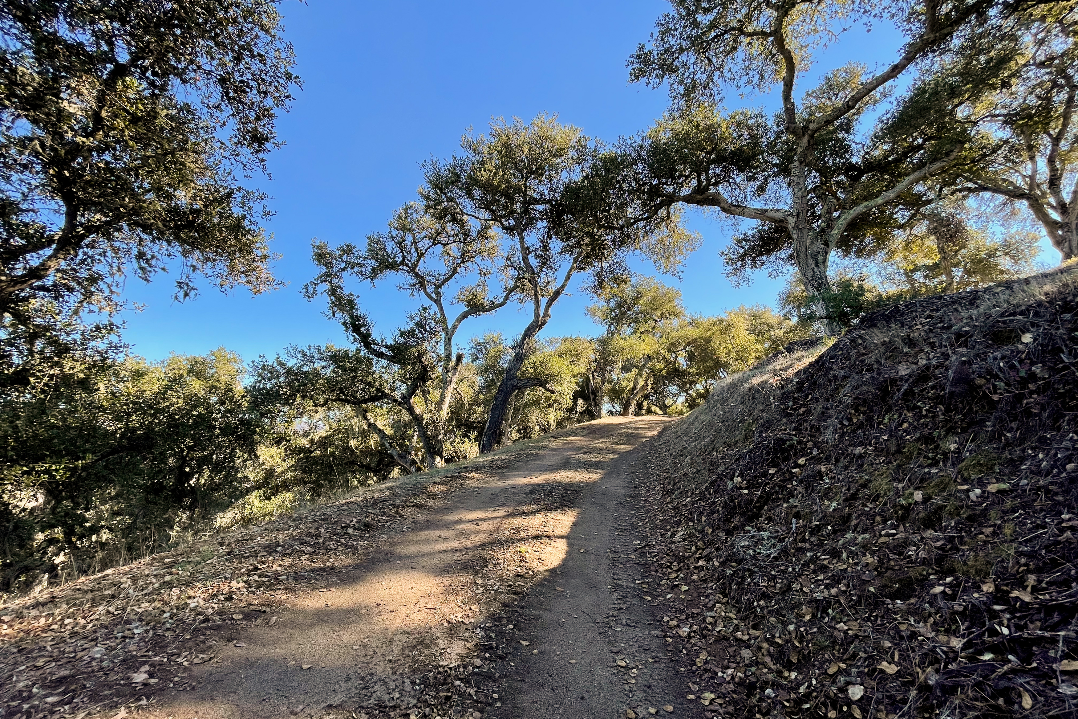  17114 Cachagua Road - 物件實景
