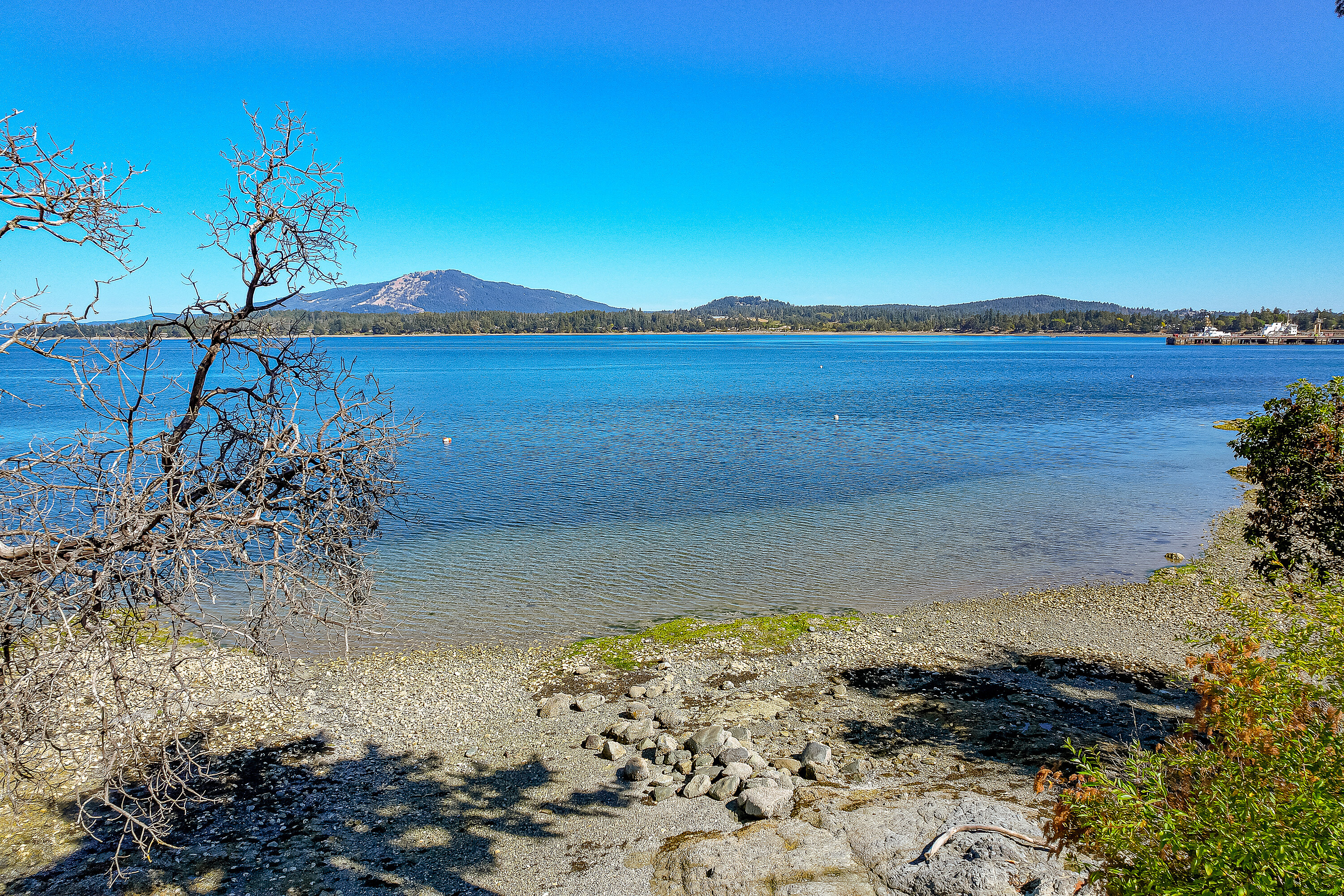  Prime Waterfront Home - 物件實景