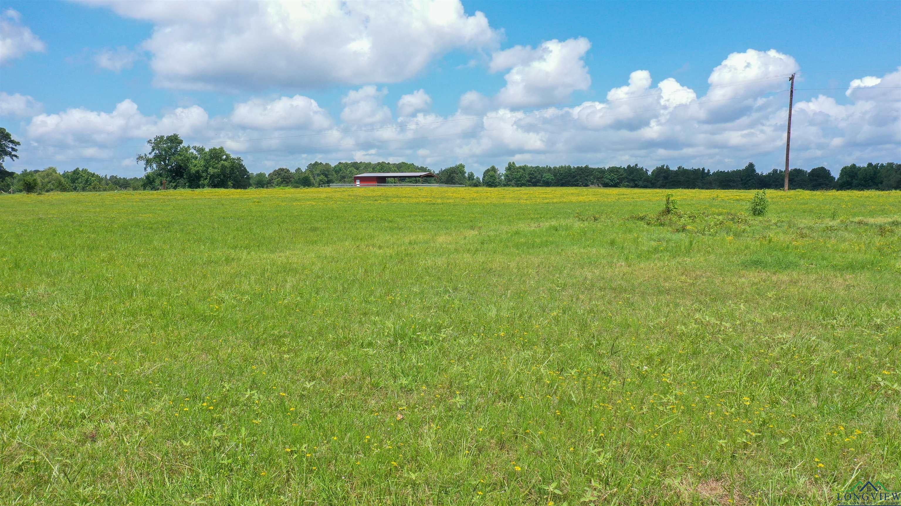 Linden, Texas, 75563, United States, ,Residential,For Sale,1809519
