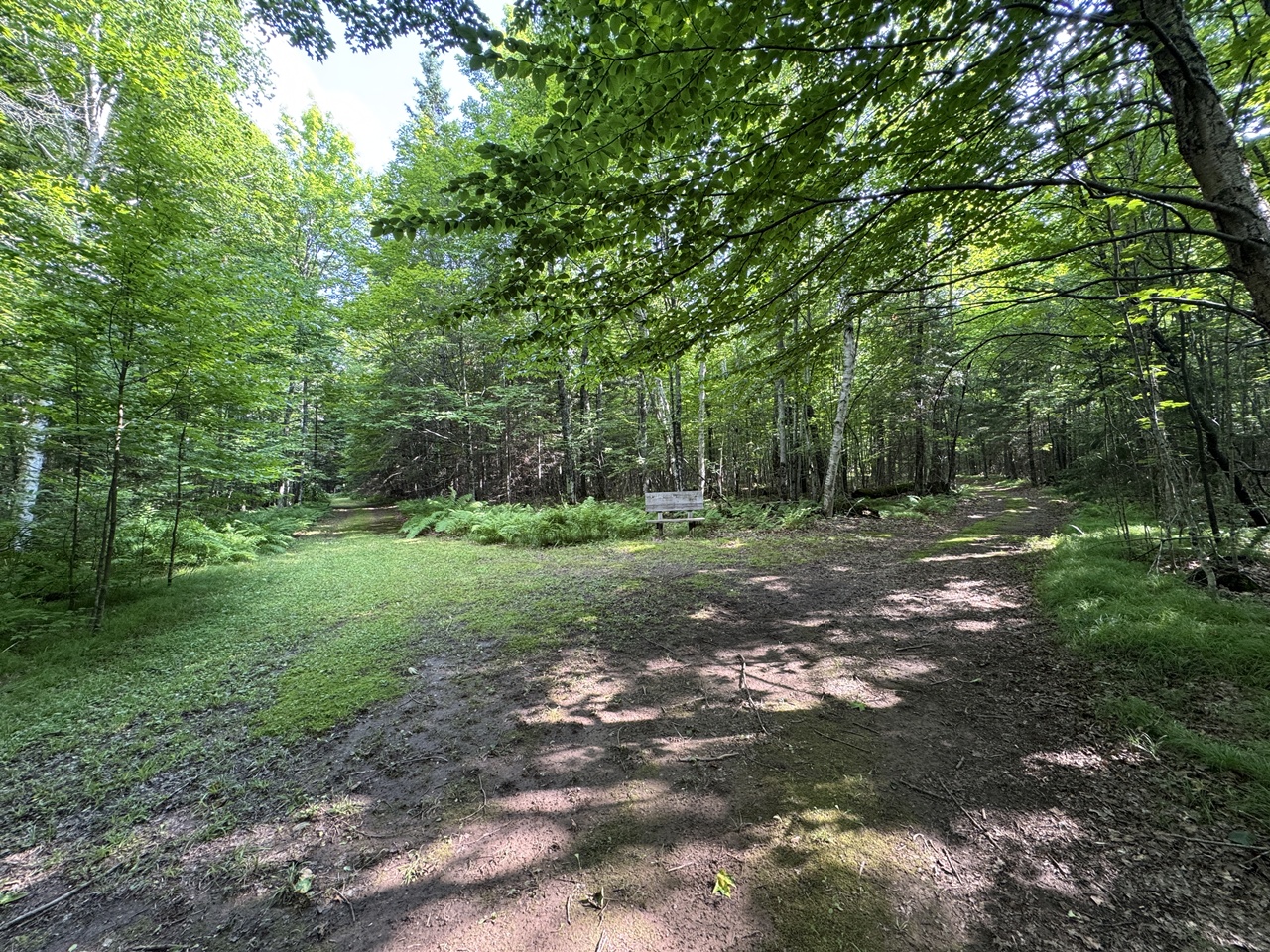Mercer, Wisconsin, 54547, United States, 32 Bedrooms Bedrooms, ,1 BathroomBathrooms,Residential,For Sale,1872742