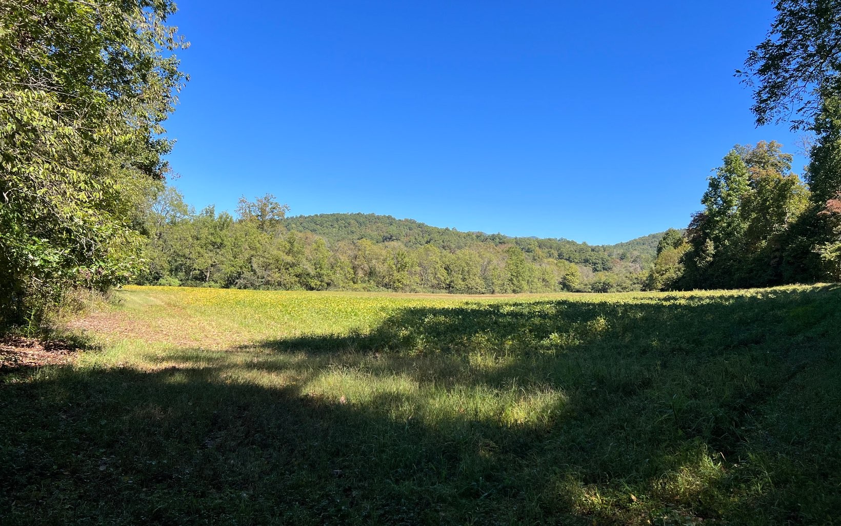 Hayesville, North Carolina, 28904, United States, ,Residential,For Sale,1943293
