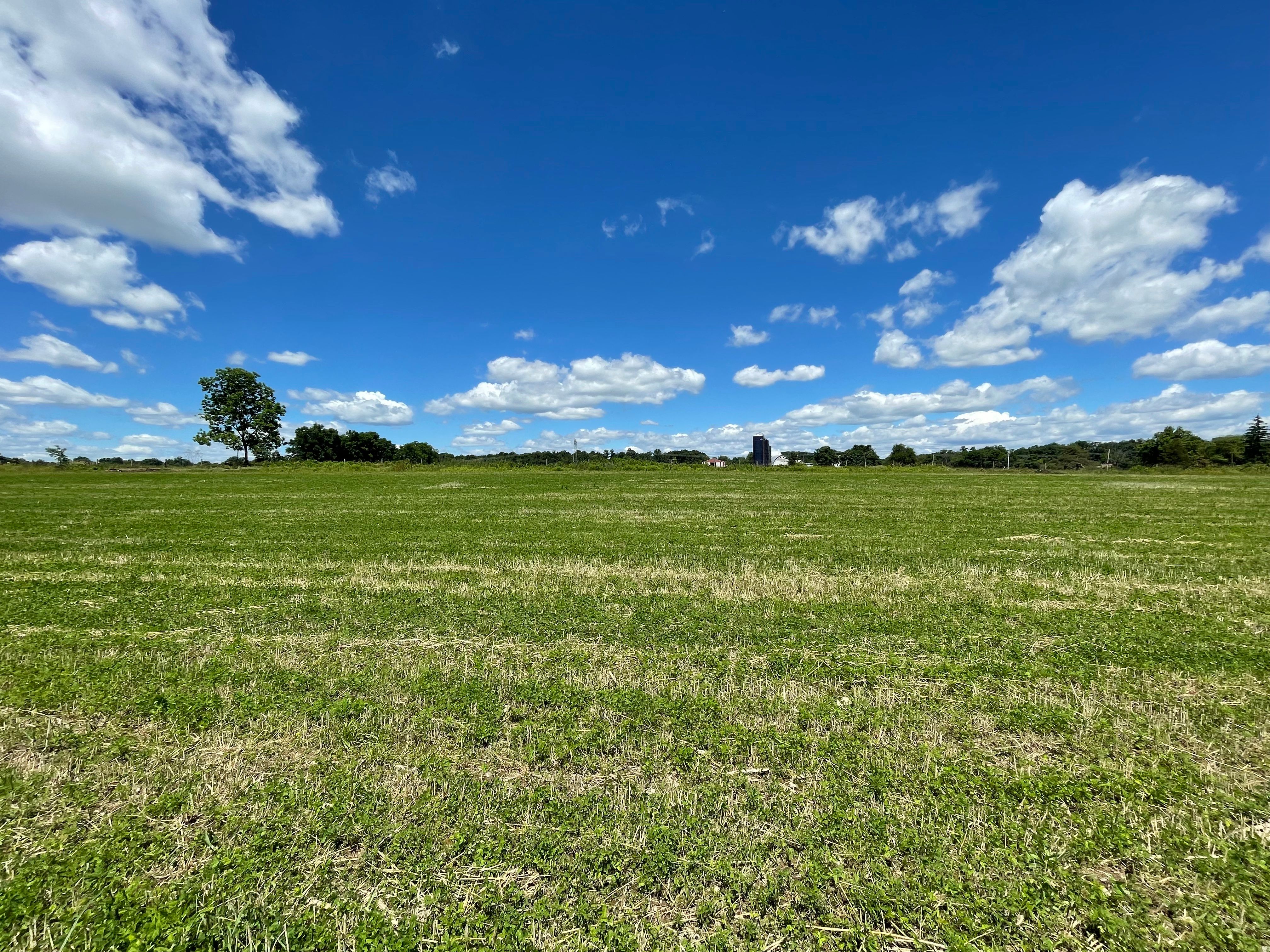  4099 Curly Hill Road, Doylestown, PA 18902 - 物件實景