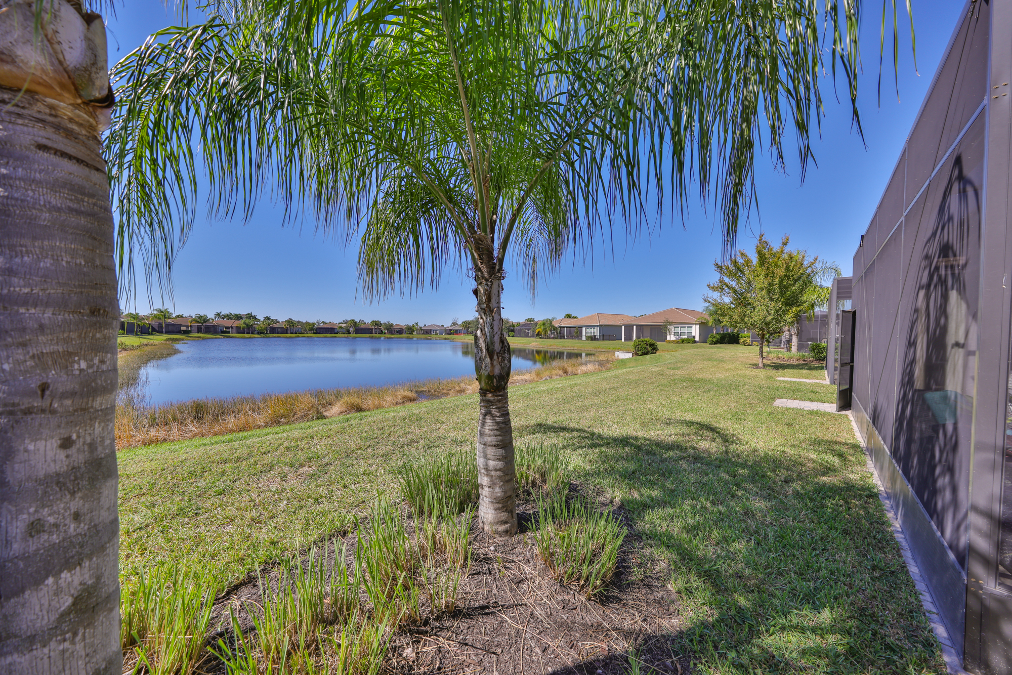 Wimauma, Florida, 33598, United States, 3 Bedrooms Bedrooms, ,3 BathroomsBathrooms,Residential,For Sale,1989865