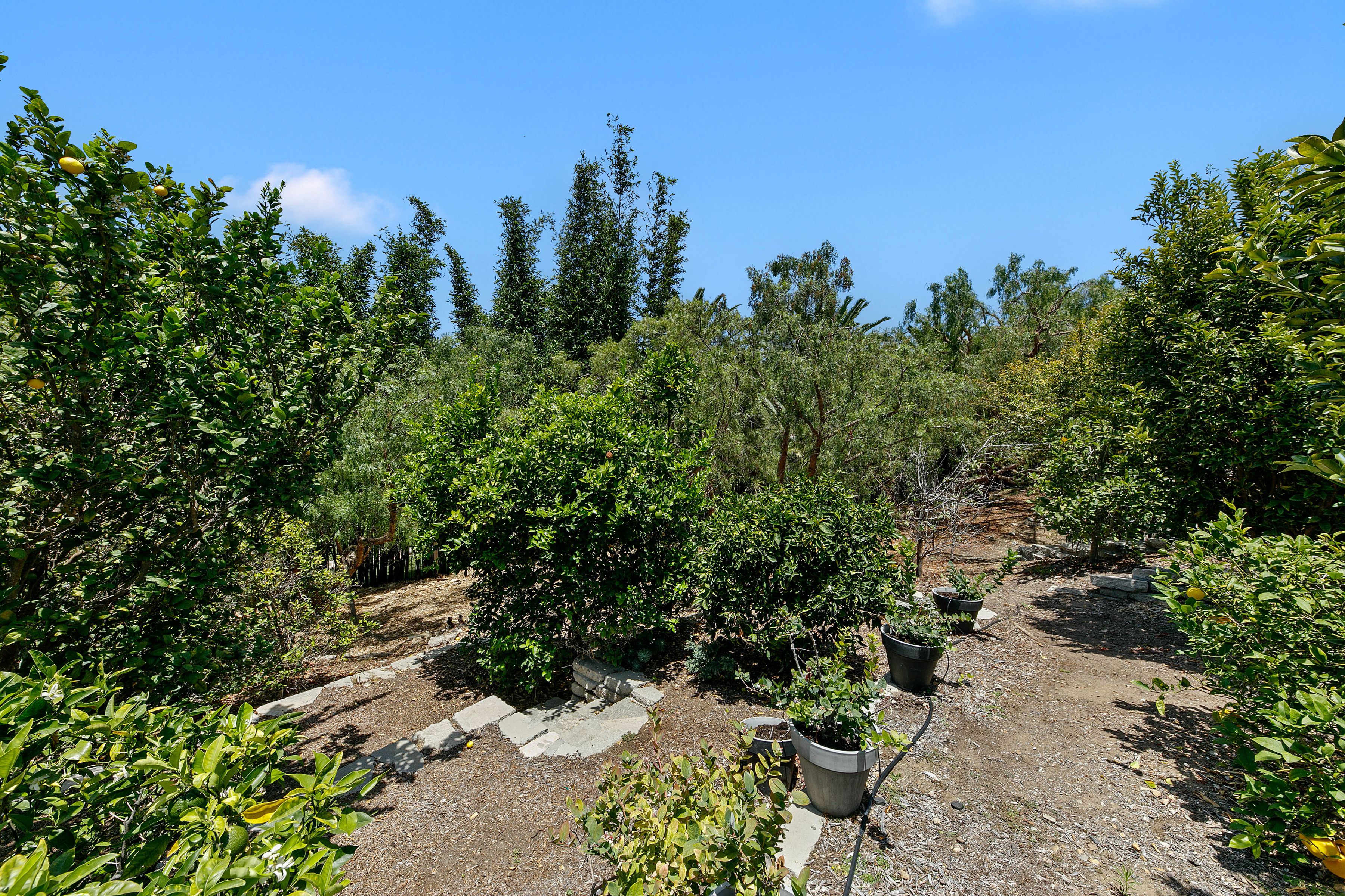  5963 Philip Avenue - 物件實景