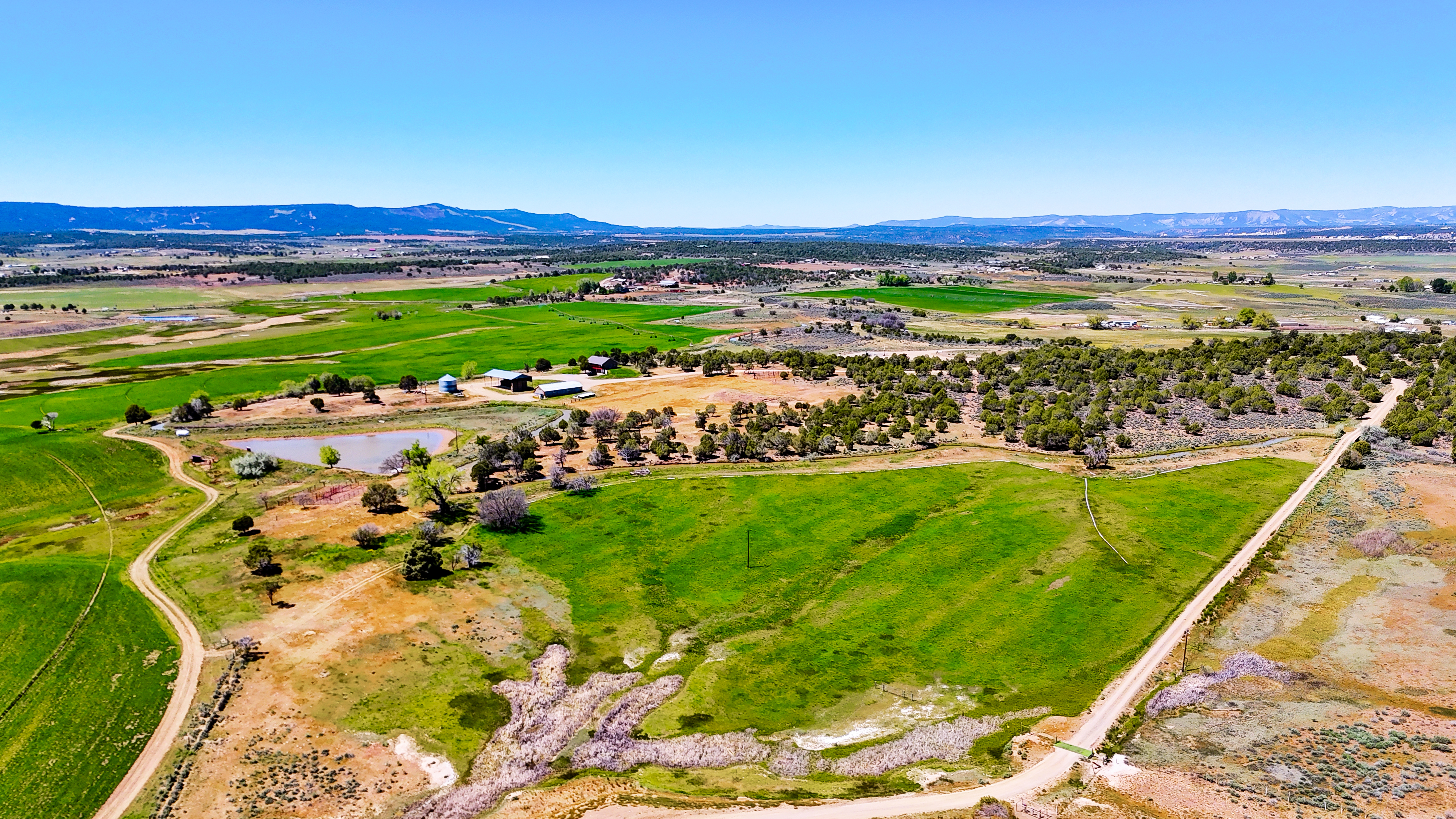  667 County Road 312, Ignacio, CO 81137 - 物件實景