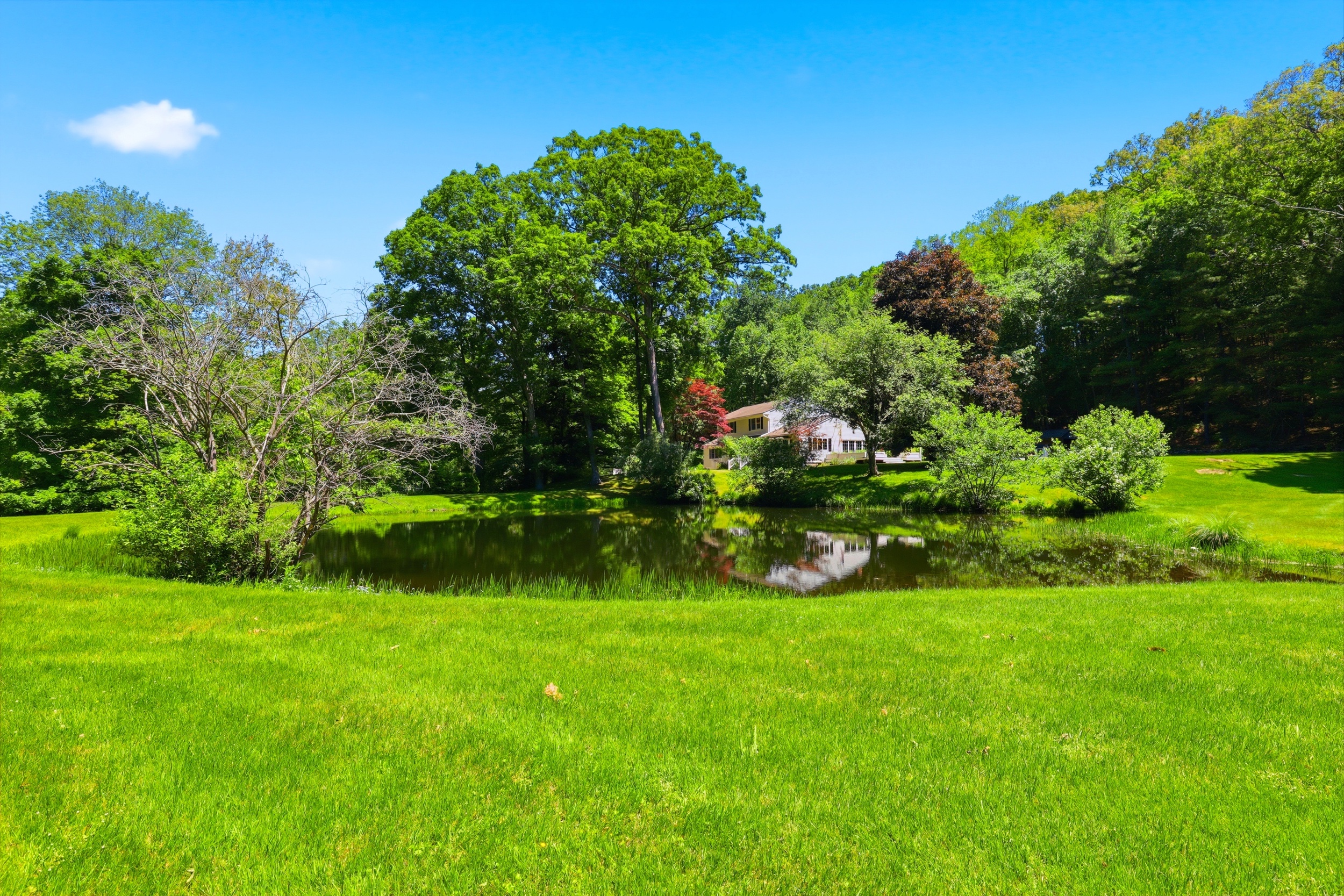  13 Schildbach Road - 物件實景