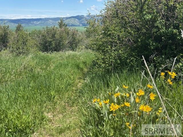 RIRIE, Idaho, 83443, United States, ,Residential,For Sale,1974893