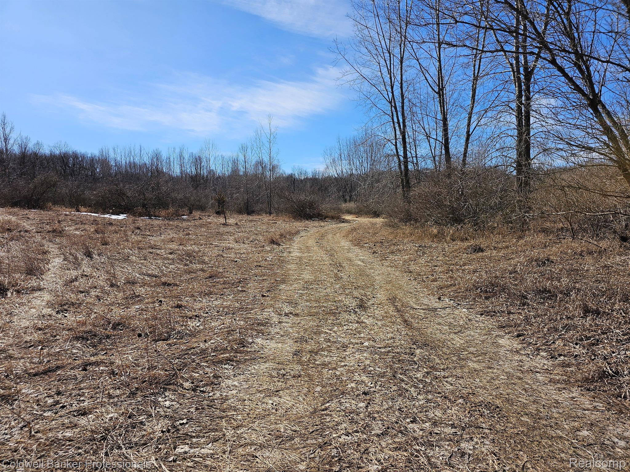 Metamora, Michigan, 48455, United States, ,Land,For Sale,1736755