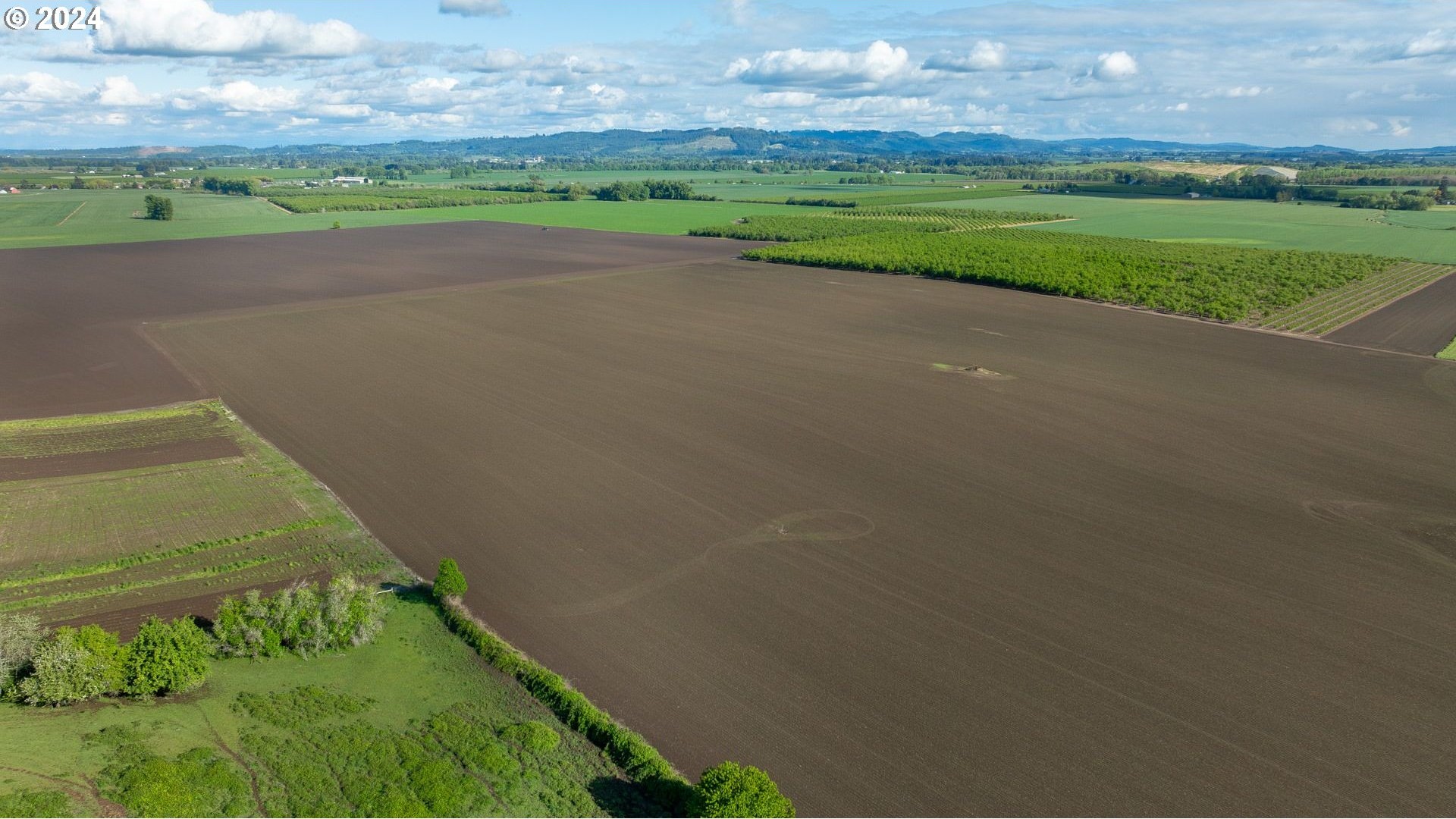 0 SW YOUNGBERG HILL RD, McMinnville, Oregon, 97128, United States, ,Land,For Sale,0 SW YOUNGBERG HILL RD,1523694