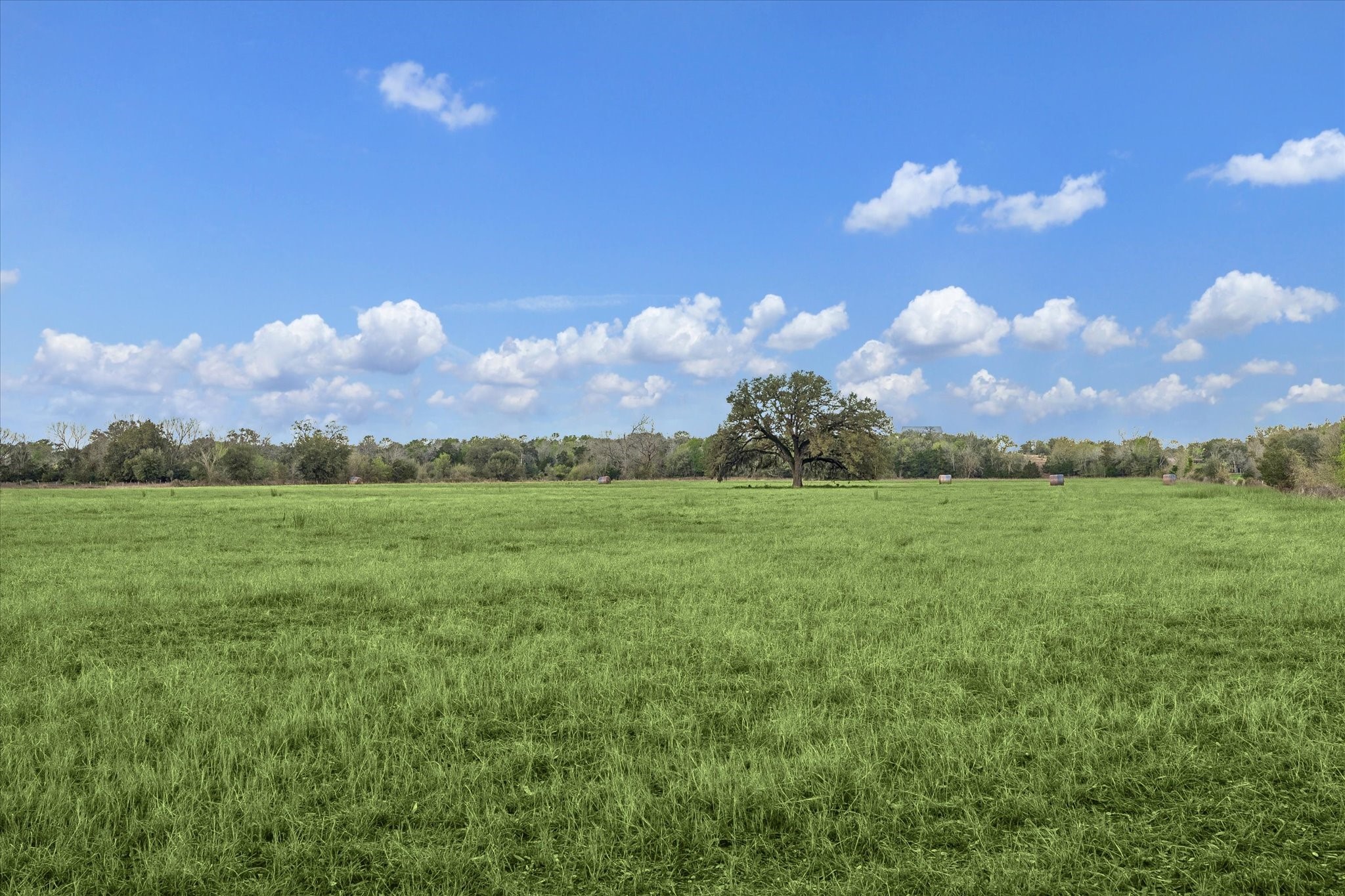  895 S Weyand Road - 物件實景