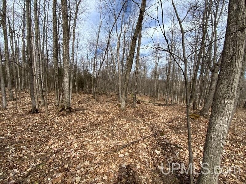 TBD W US 41, Marquette, Michigan, 49855, United States, ,Residential,For Sale,TBD W US 41,1601608