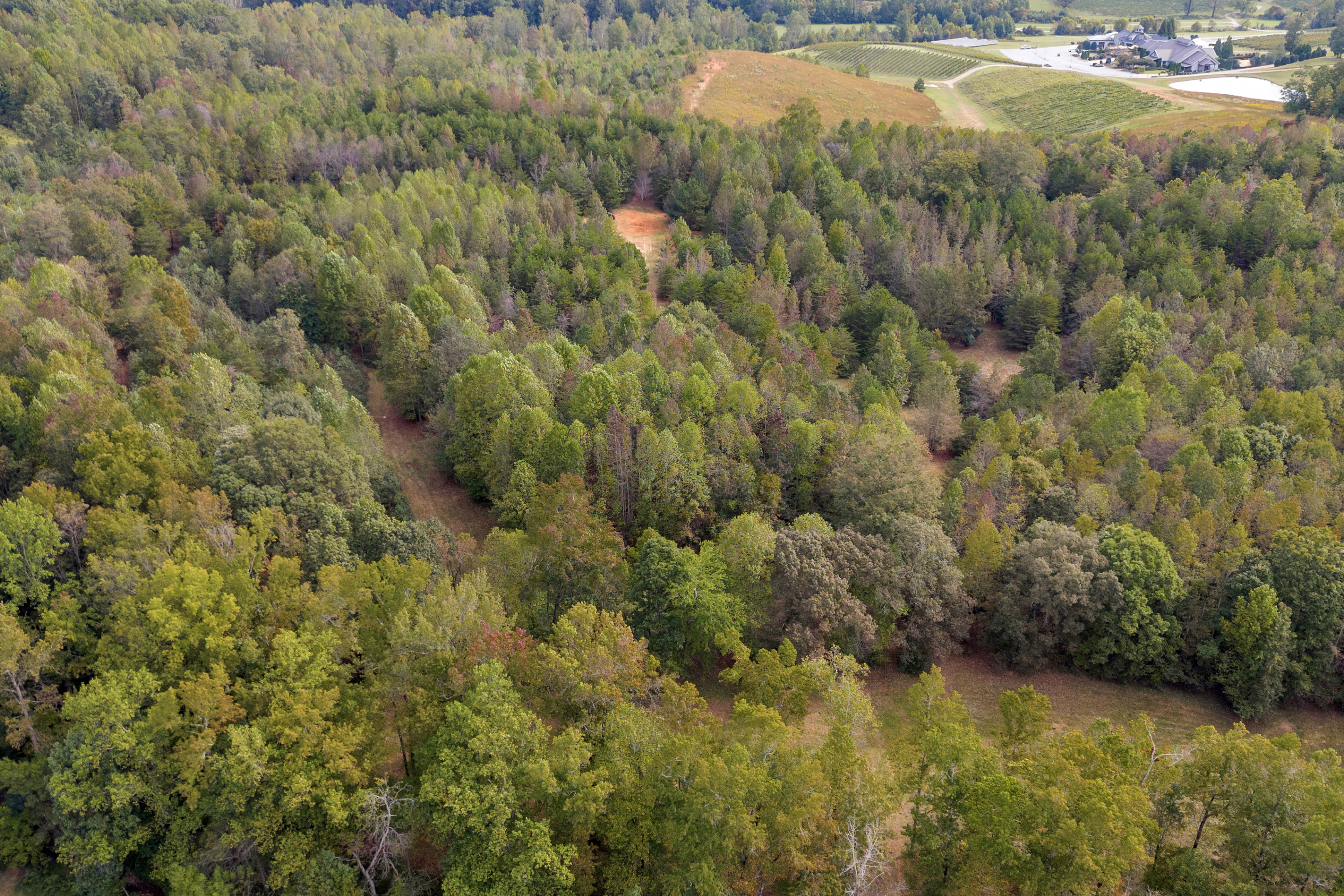 Cleveland, Georgia, 30528, United States, 3 Bedrooms Bedrooms, ,2 BathroomsBathrooms,Residential,For Sale,1979350