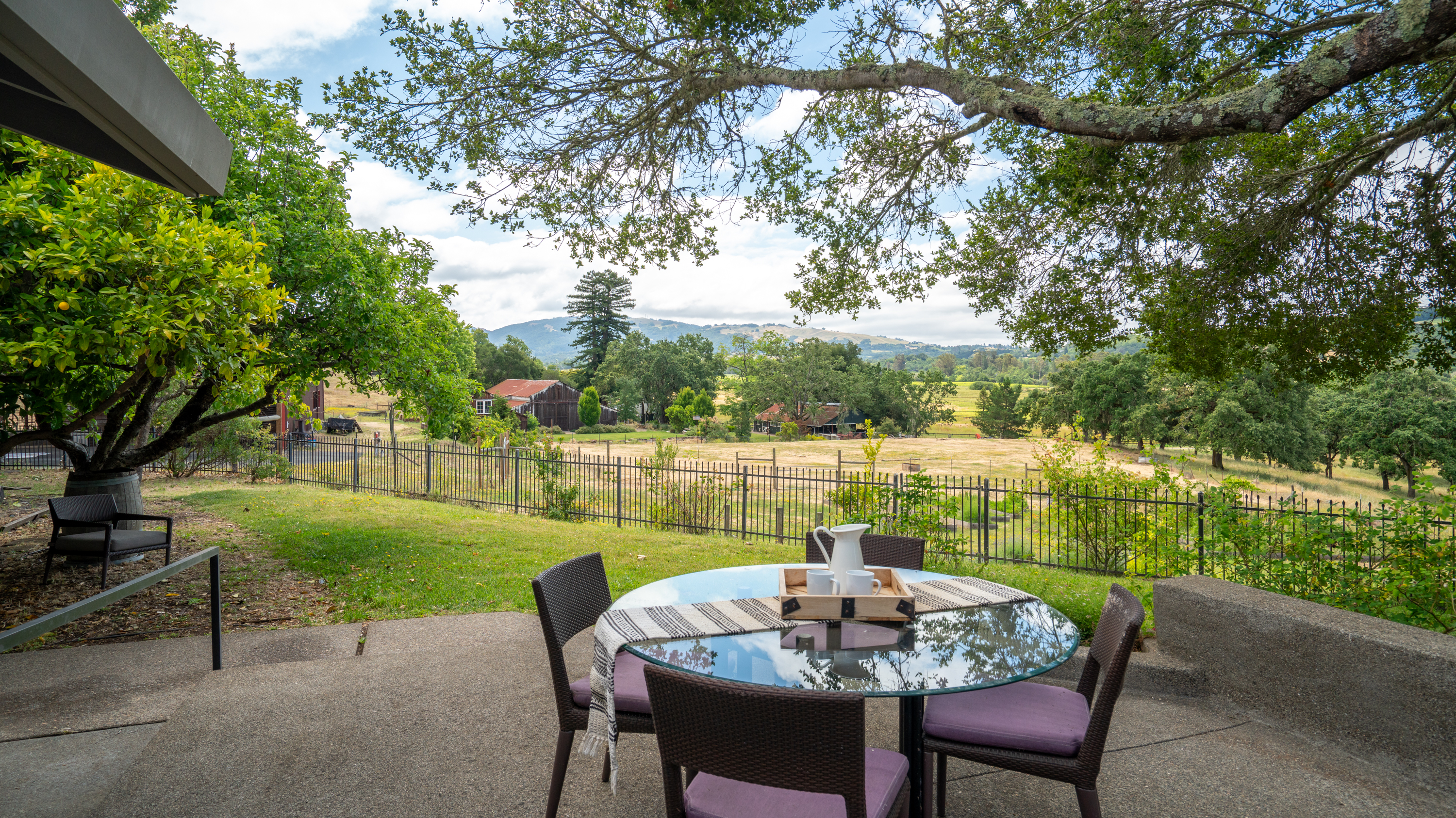  Exceptional Bennett Valley Country Estate - 物件實景