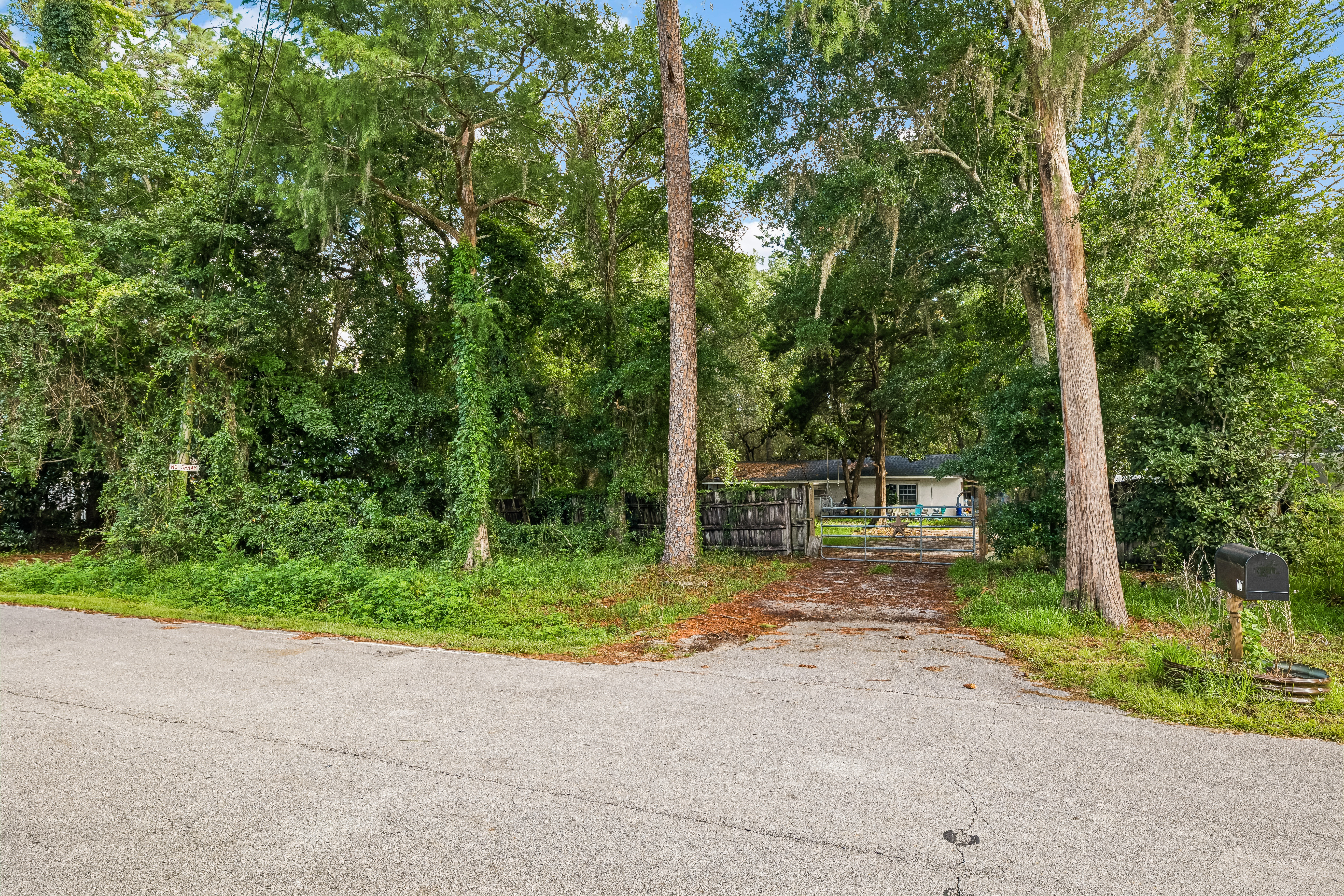  .25 Acre Lot in Daughettes of Point Washington - 物件實景