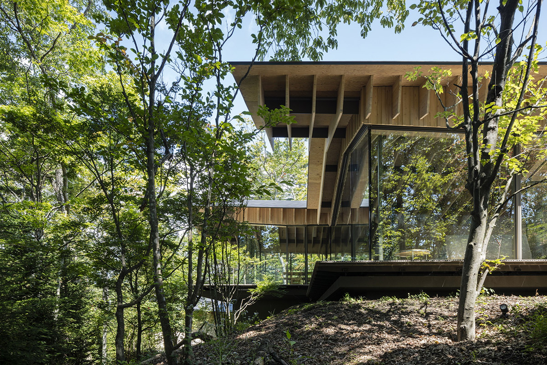  ROOF/BIRDS: Wild Bird Forest Lodge - 物件實景