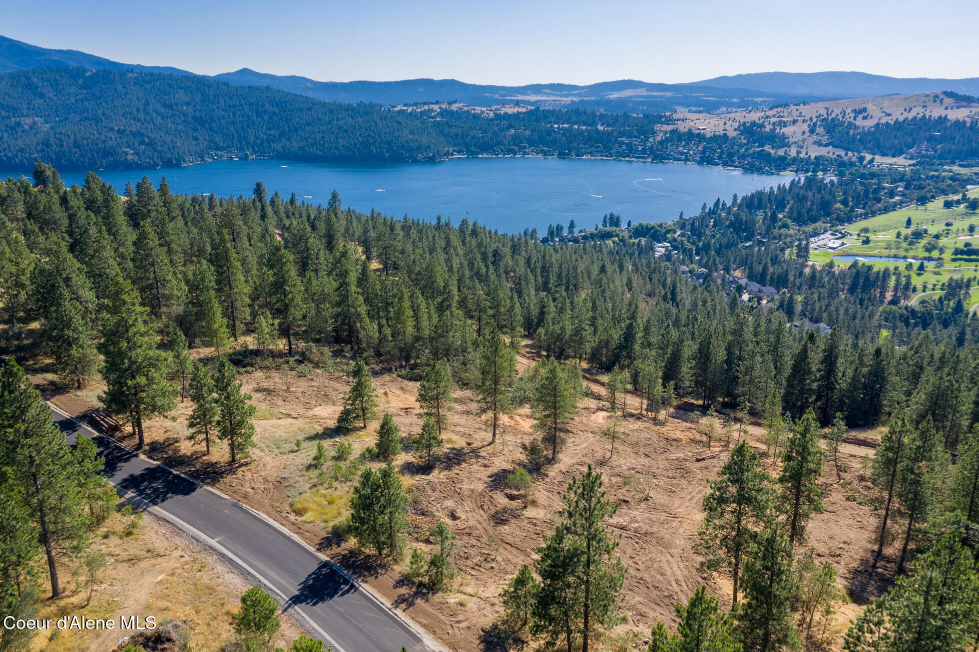 Liberty Lake, Washington, 99019, United States, ,Land,For Sale,1974719