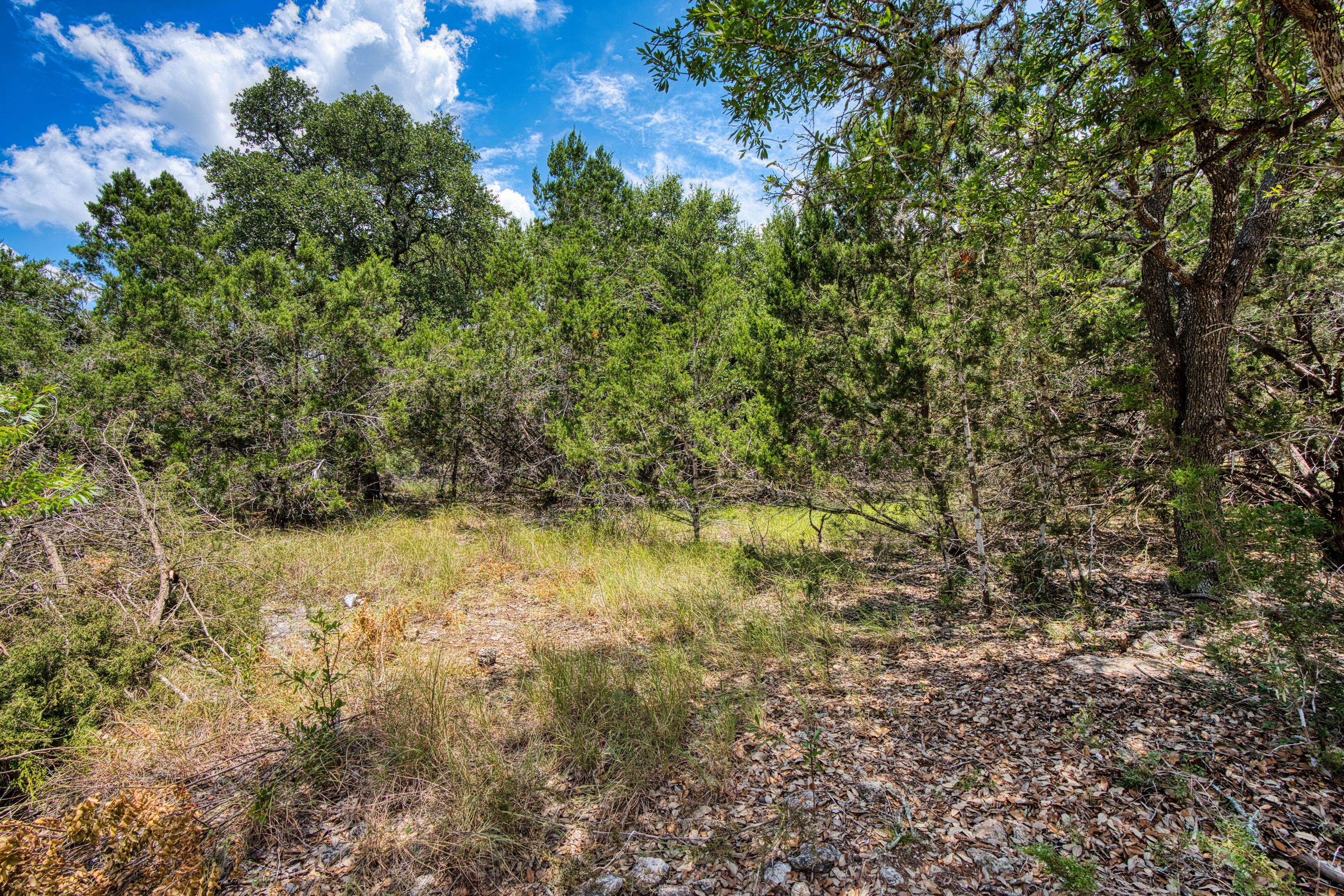  Build Your Dream Home on 3 Acres - 物件實景